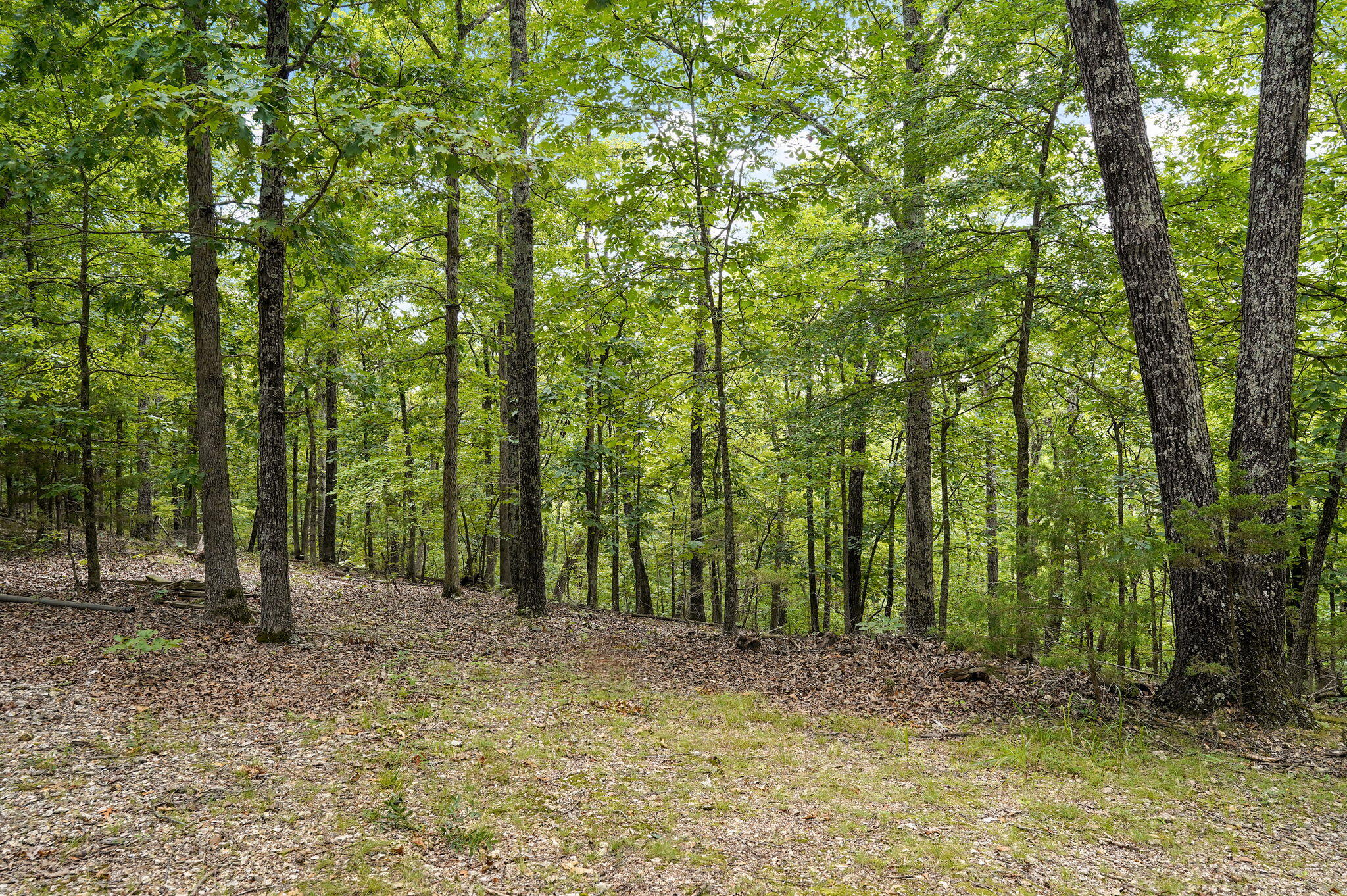 000 Buttermilk Spring Road Property Photo 10