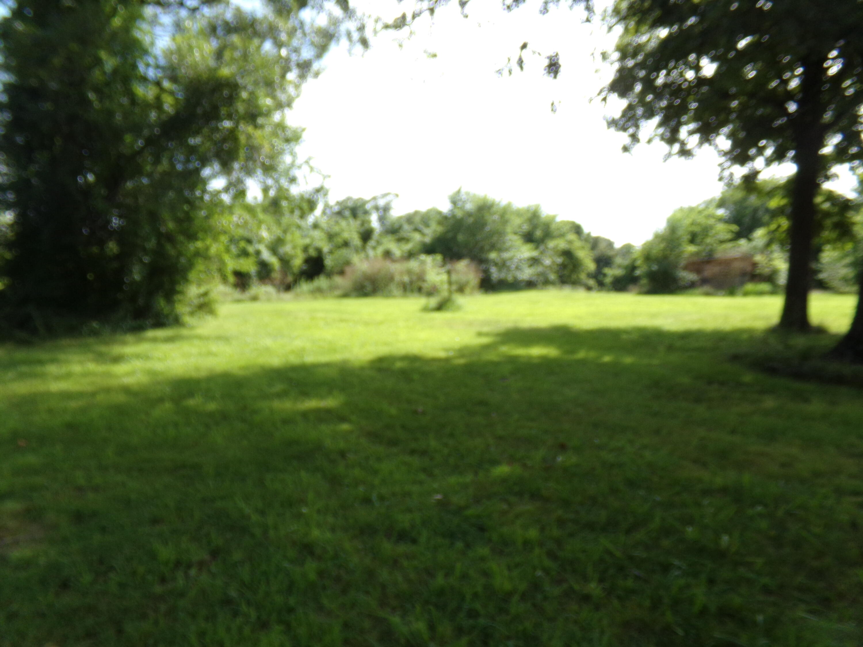 250 & 276 Garner Road Property Photo 17