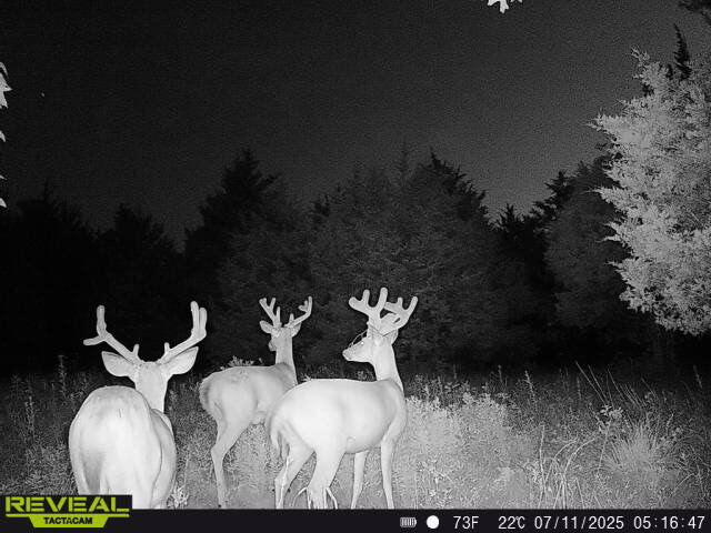000 Highway M Property Photo 5