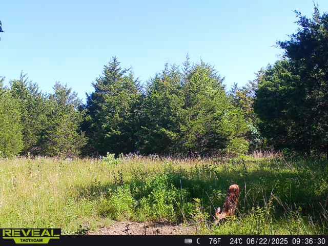000 Highway M Property Photo 9