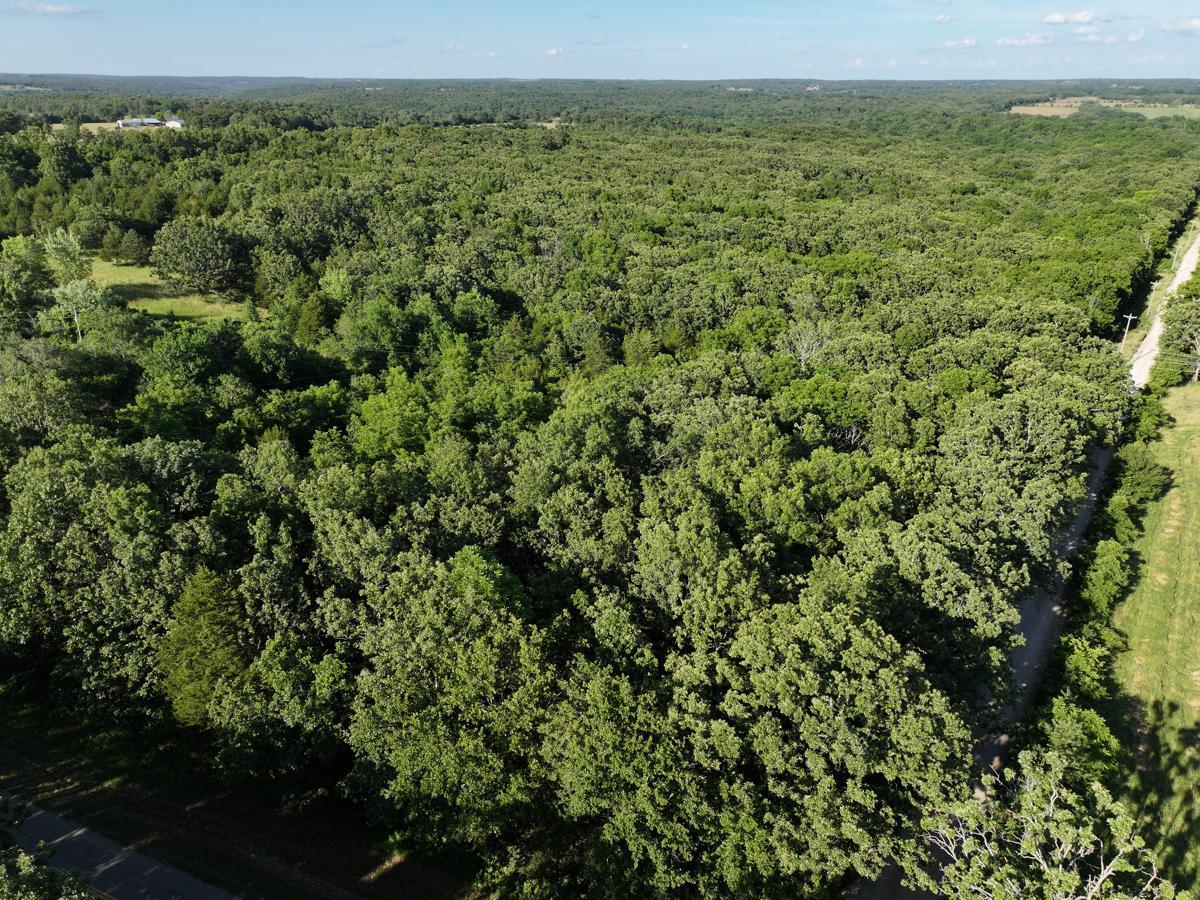 000 Highway M Property Photo 13