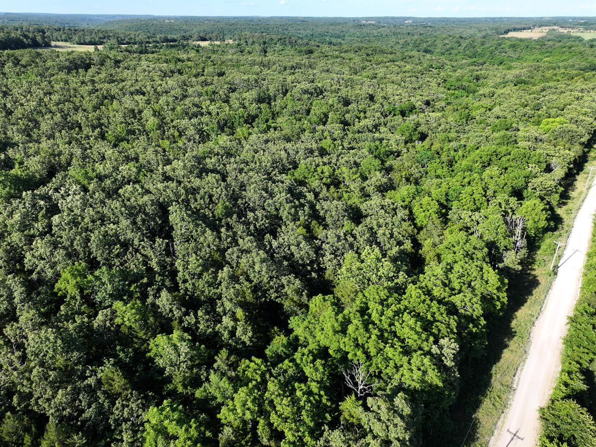 000 Highway M Property Photo 16