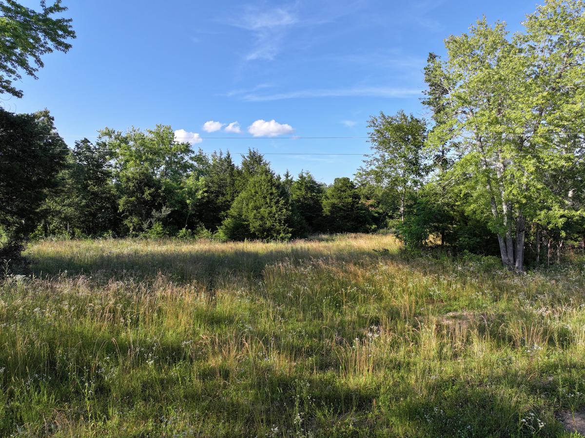 000 Highway M Property Photo 35