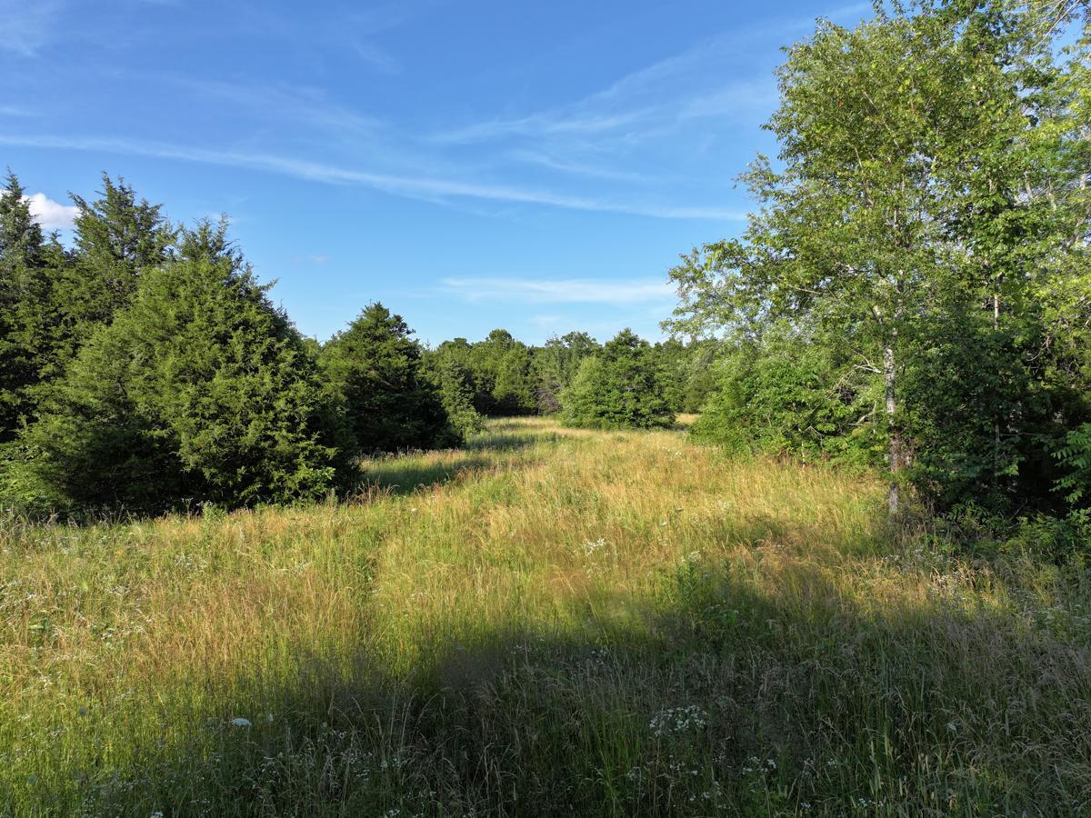 000 Highway M Property Photo 36