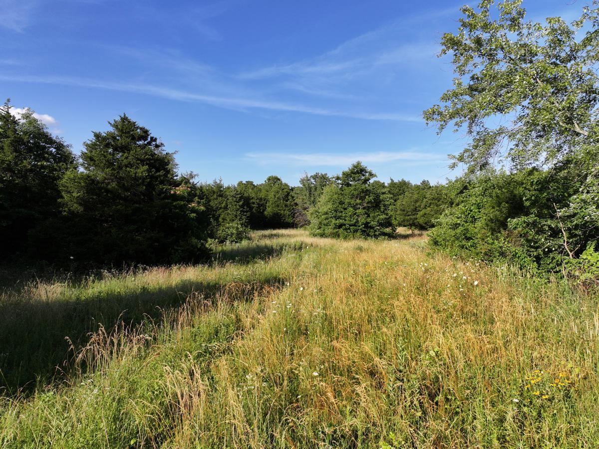 000 Highway M Property Photo 37