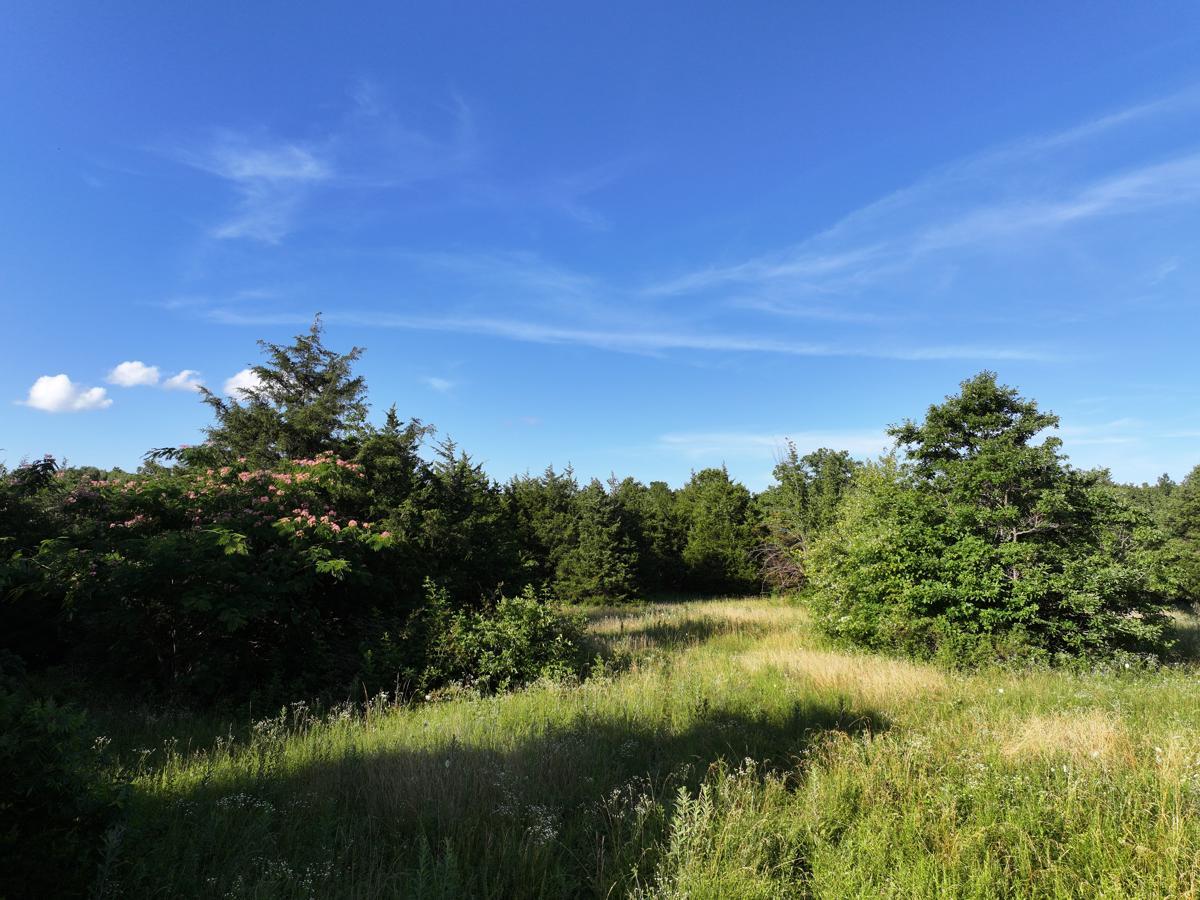 000 Highway M Property Photo 39