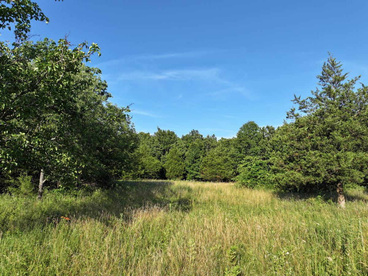 000 Highway M Property Photo 41