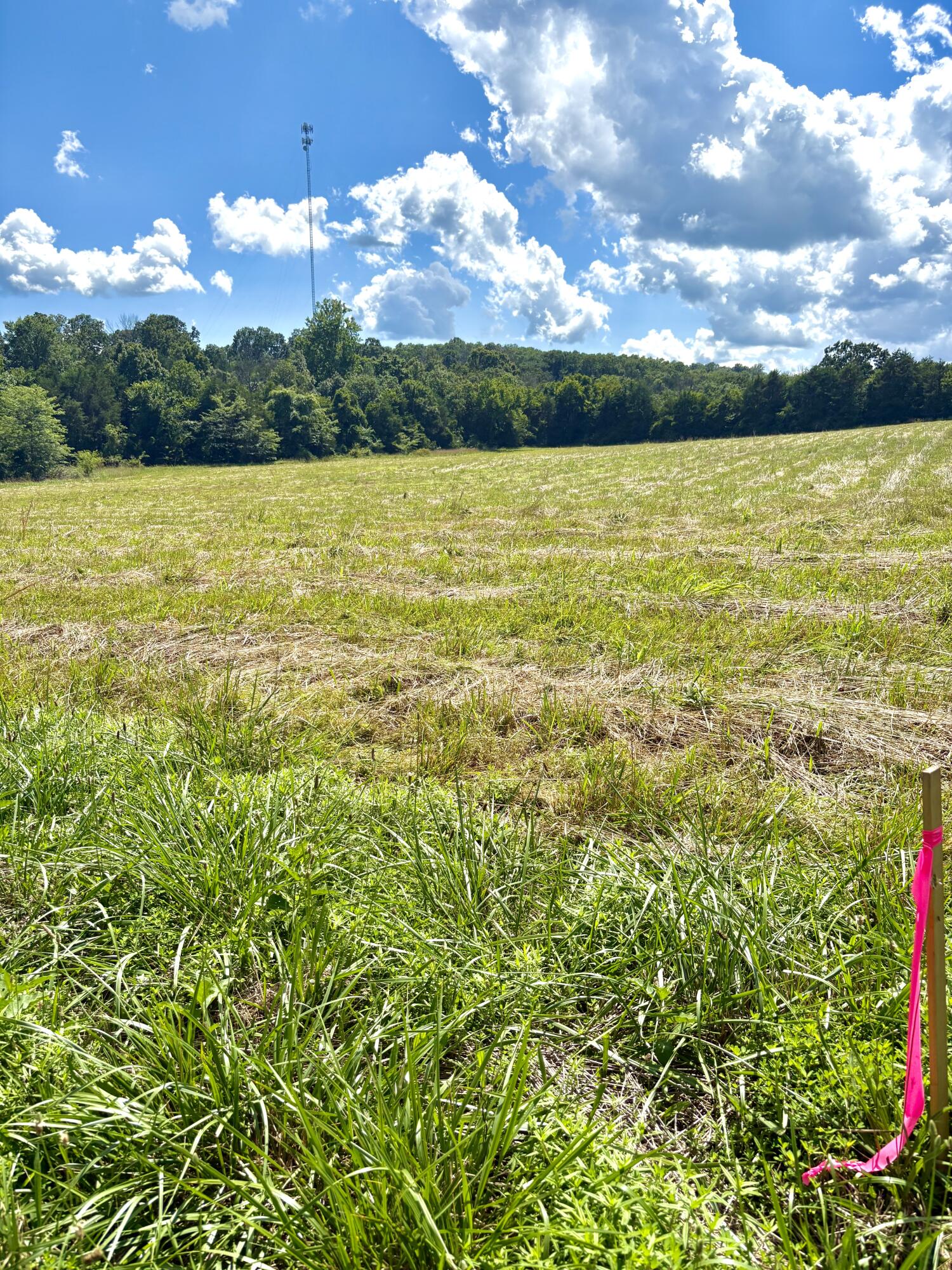 000 Tbd County Road 900 Property Photo 2