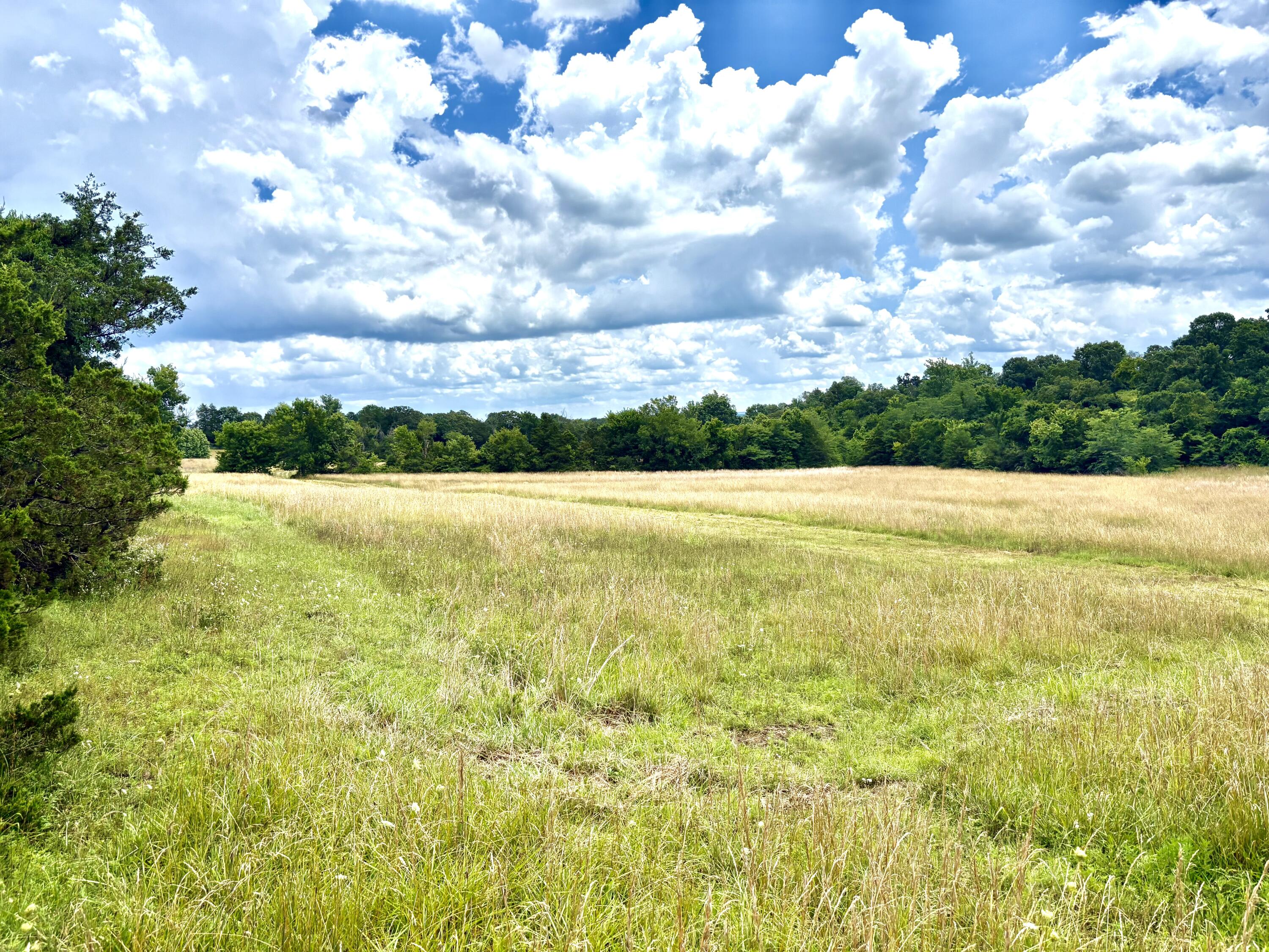 000 Tbd County Road 900 Property Photo 3