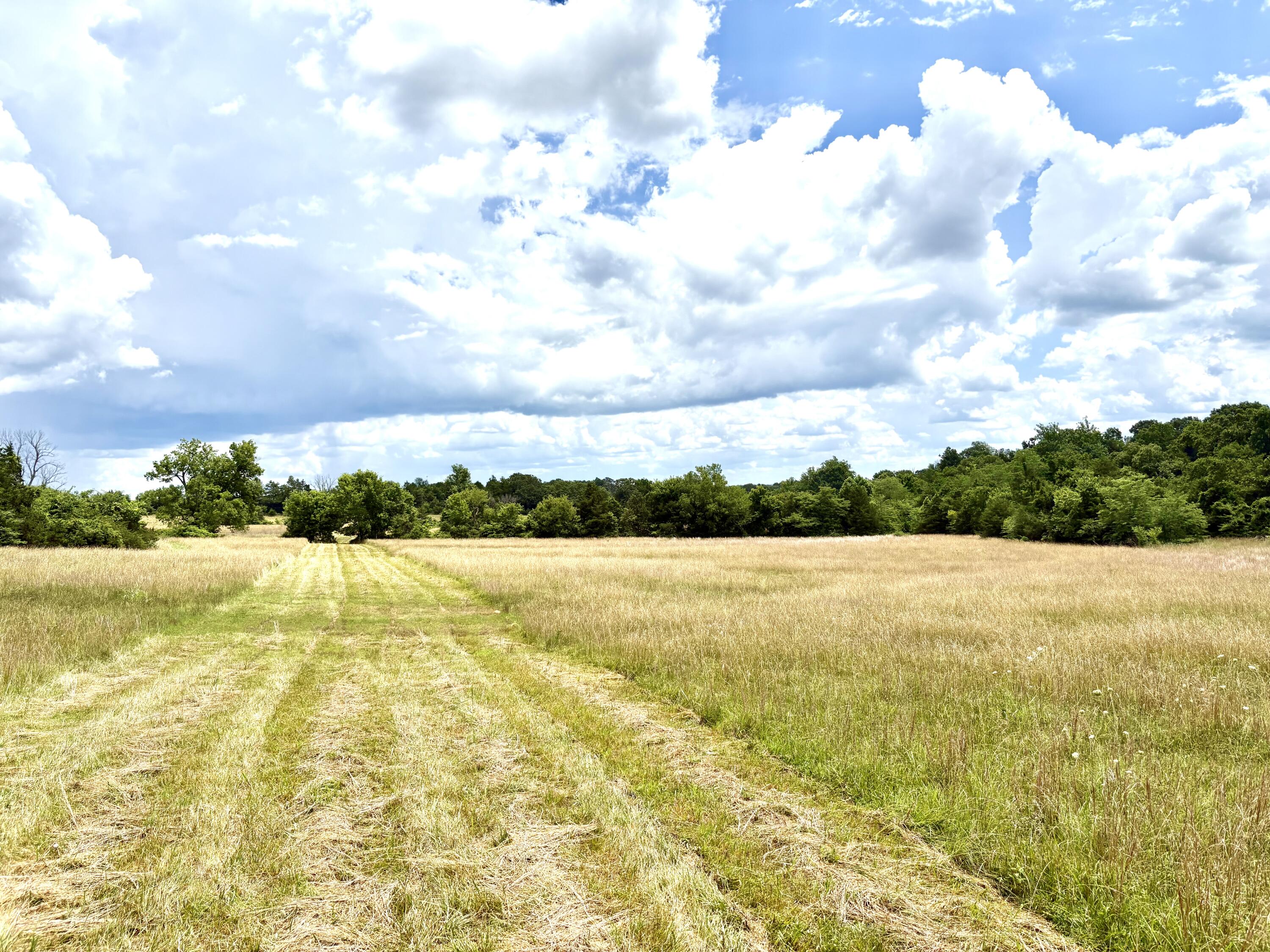 000 Tbd County Road 900 Property Photo 4