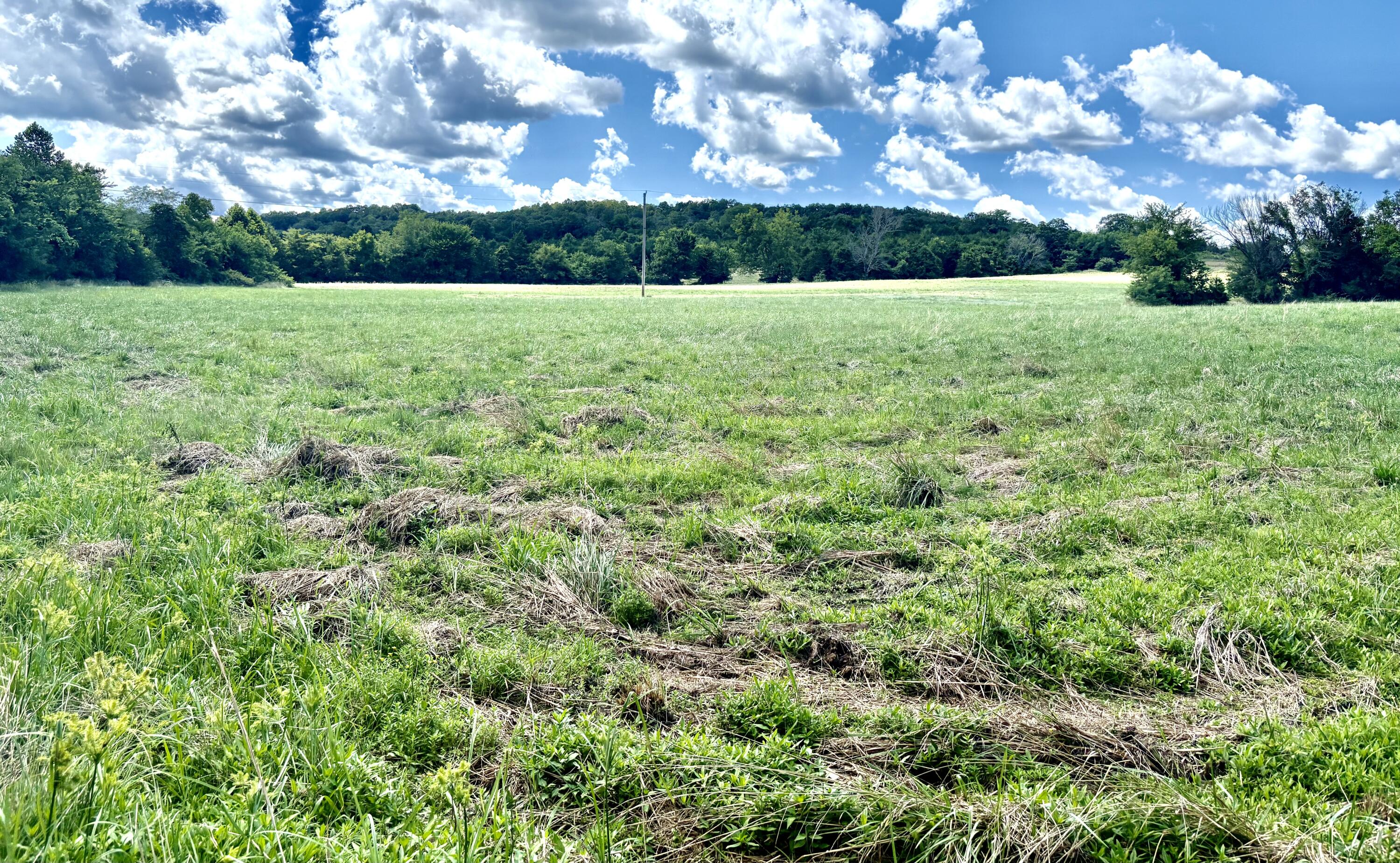 000 Tbd County Road 900 Property Photo 9