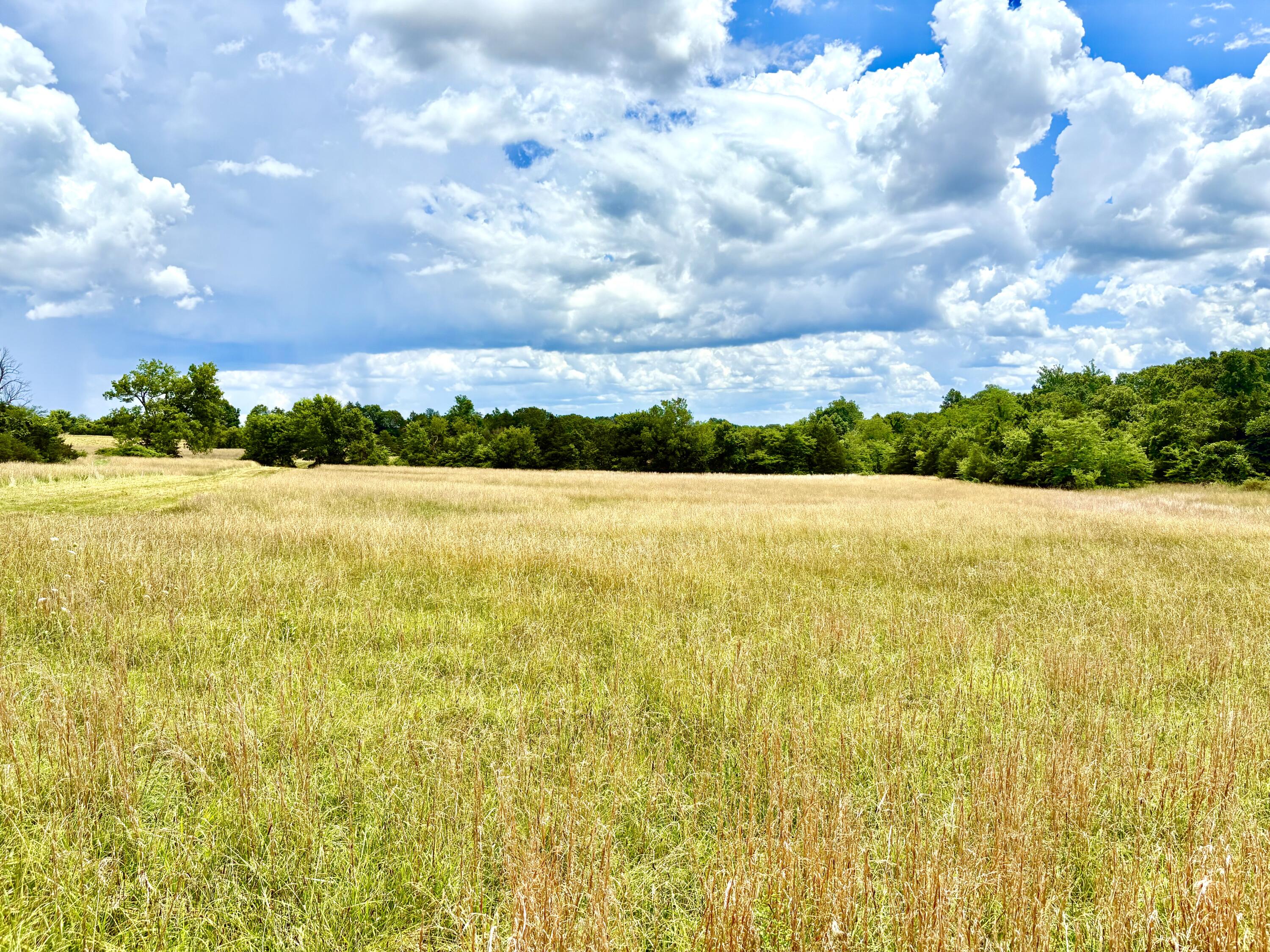 000 Tbd County Road 900 Property Photo 14