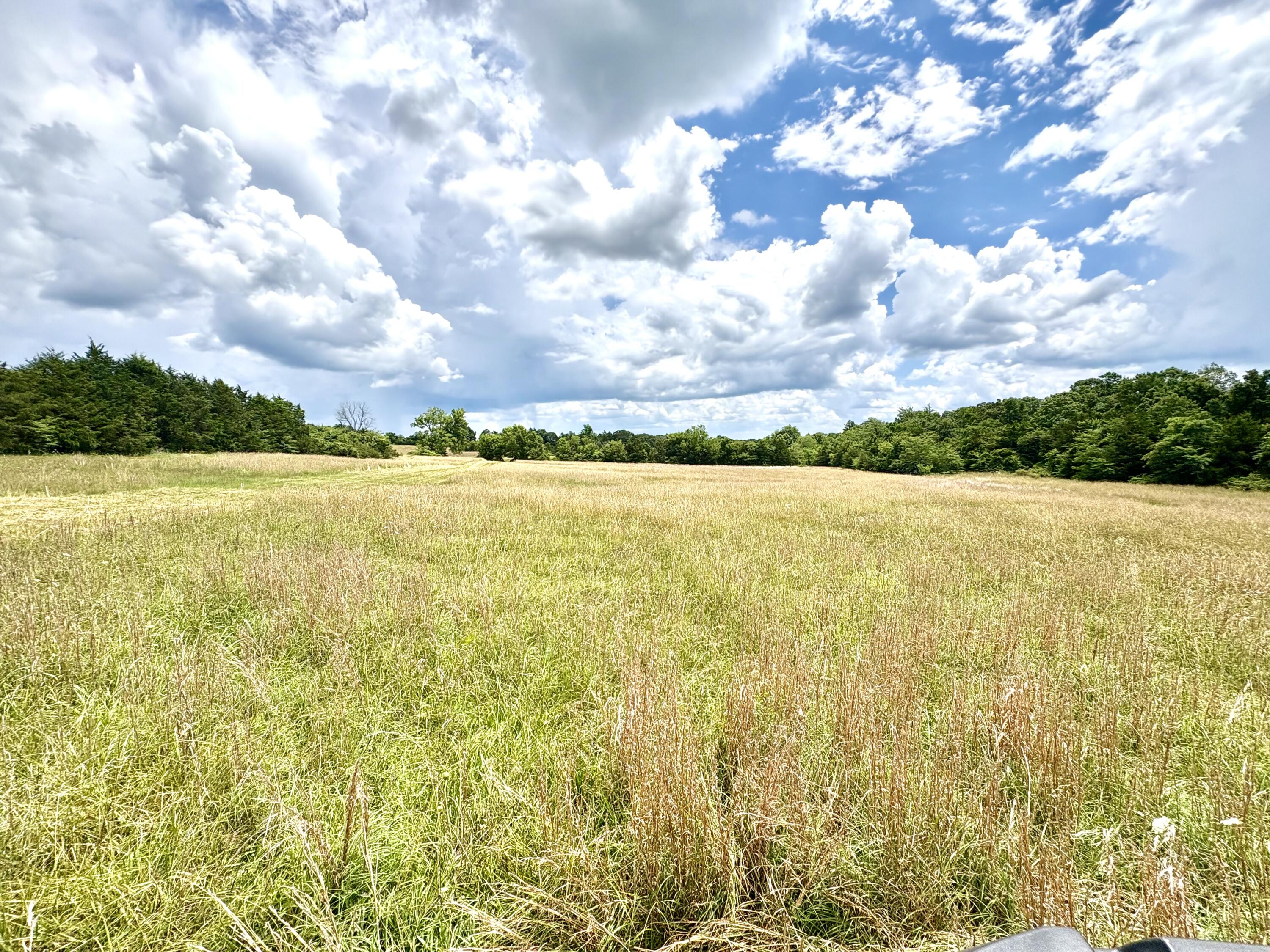 000 Tbd County Road 900 Property Photo 15