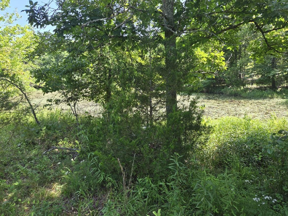 000 Harlow Road Property Photo 20