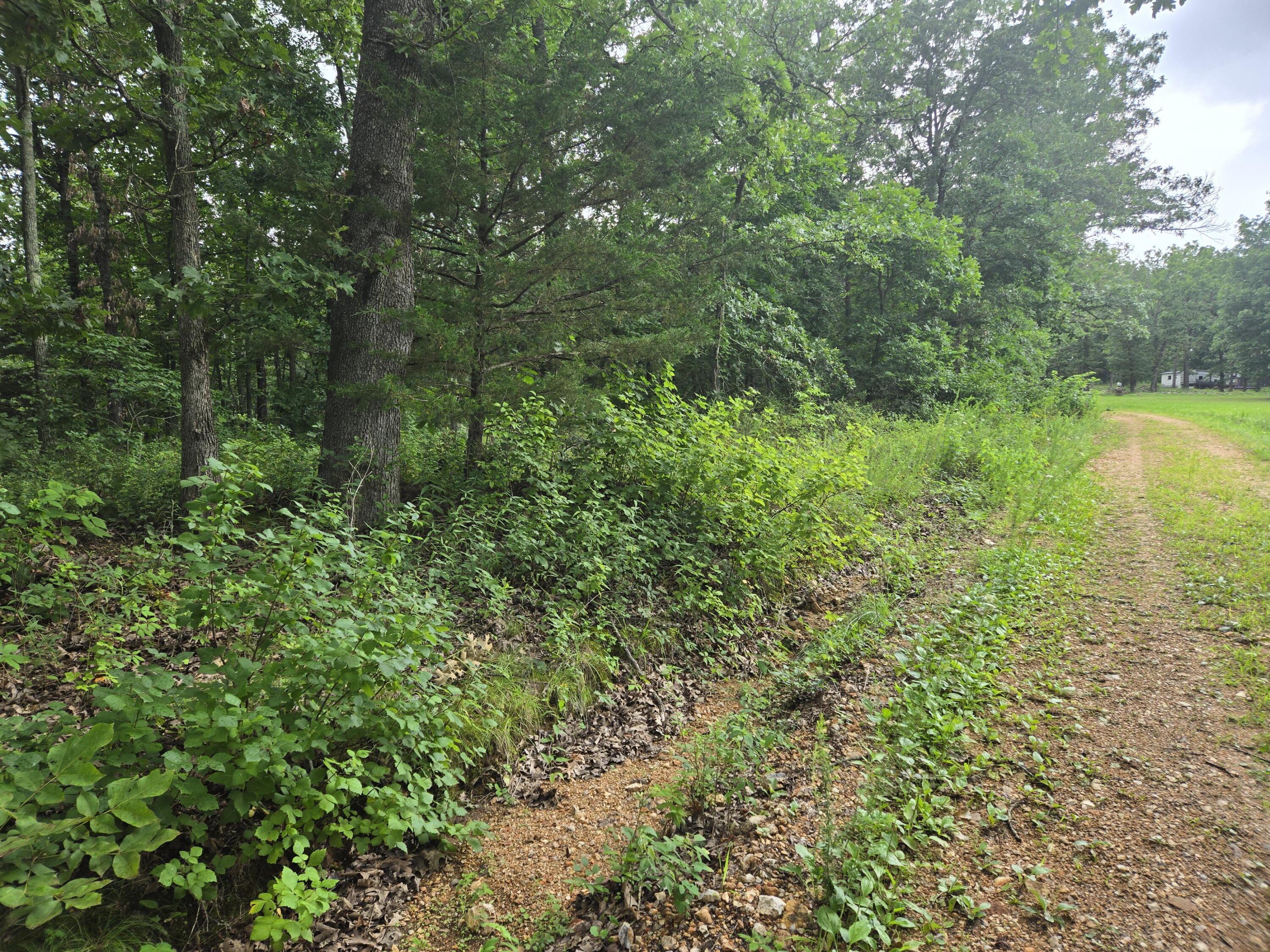 Tbd County Road 481w Property Photo 3