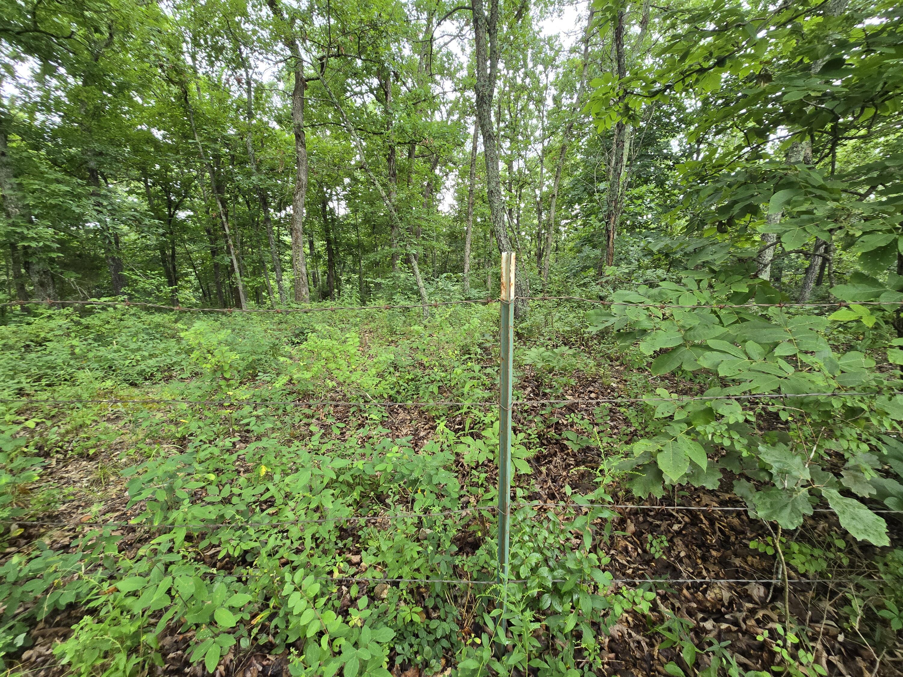 Tbd County Road 481w Property Photo 4