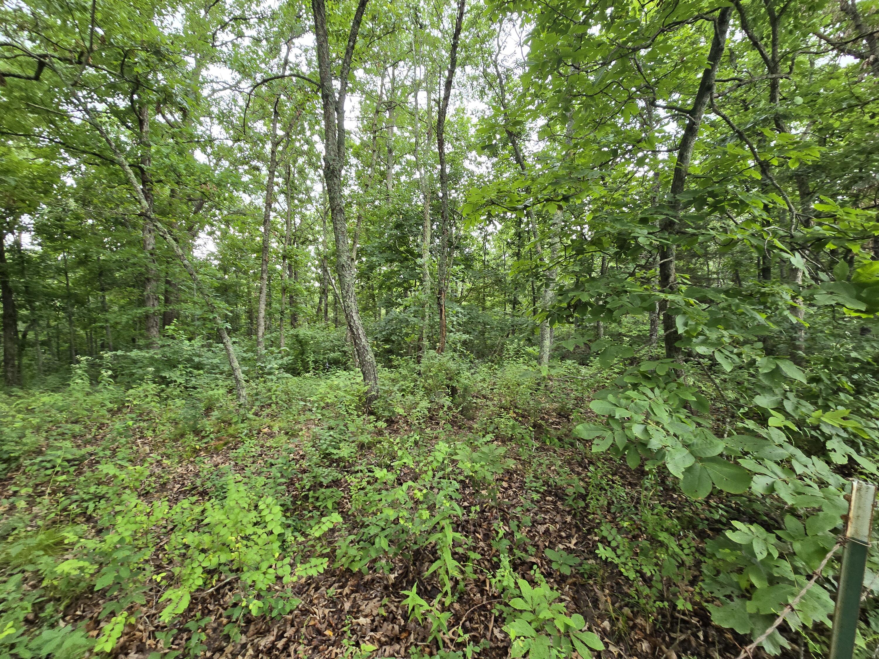 Tbd County Road 481w Property Photo 5