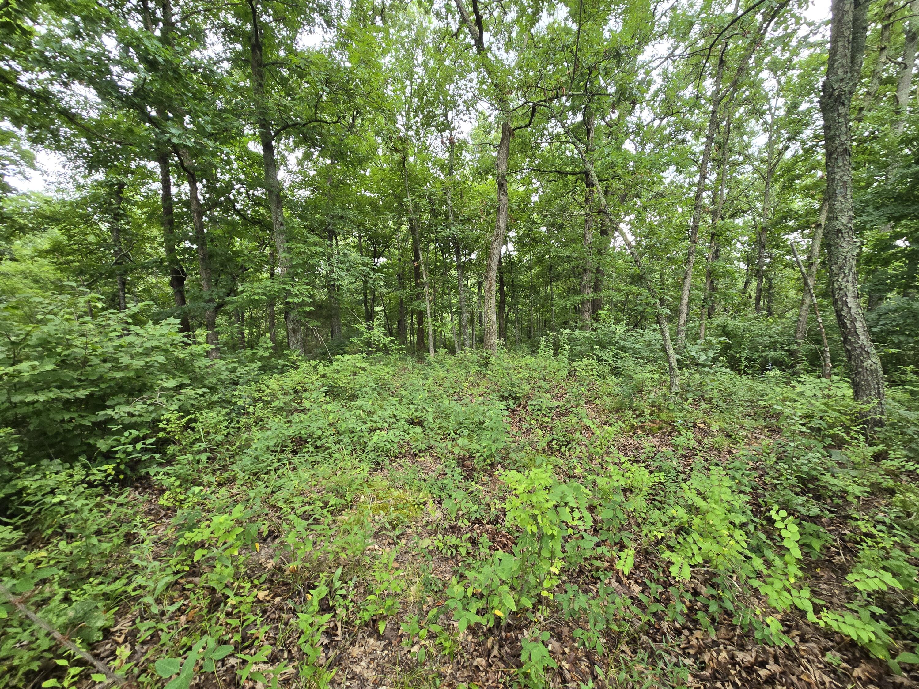 Tbd County Road 481w Property Photo 6