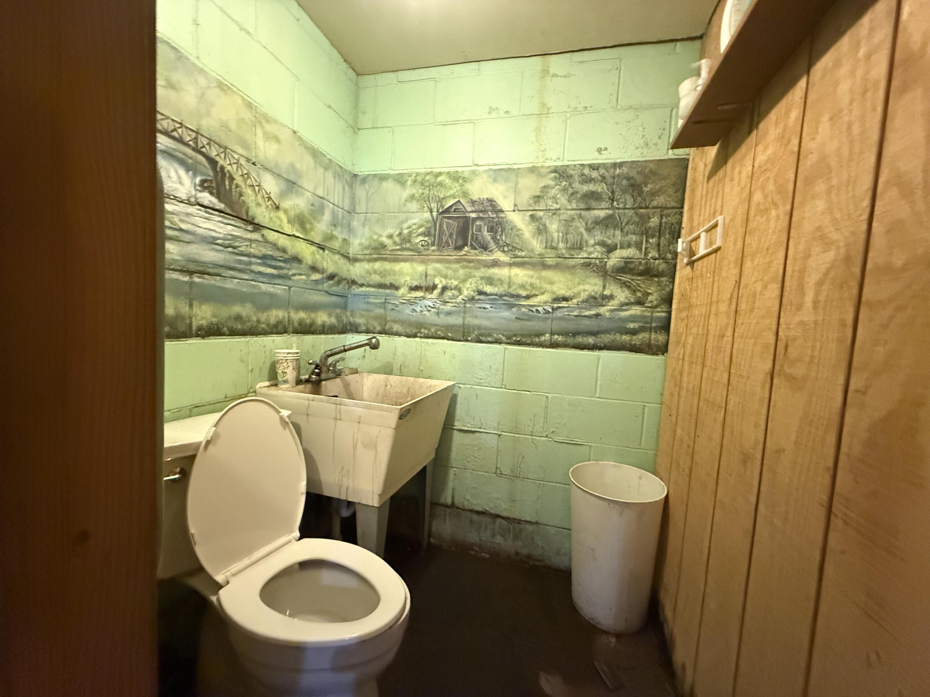 103 Vine Street Property Photo 12
