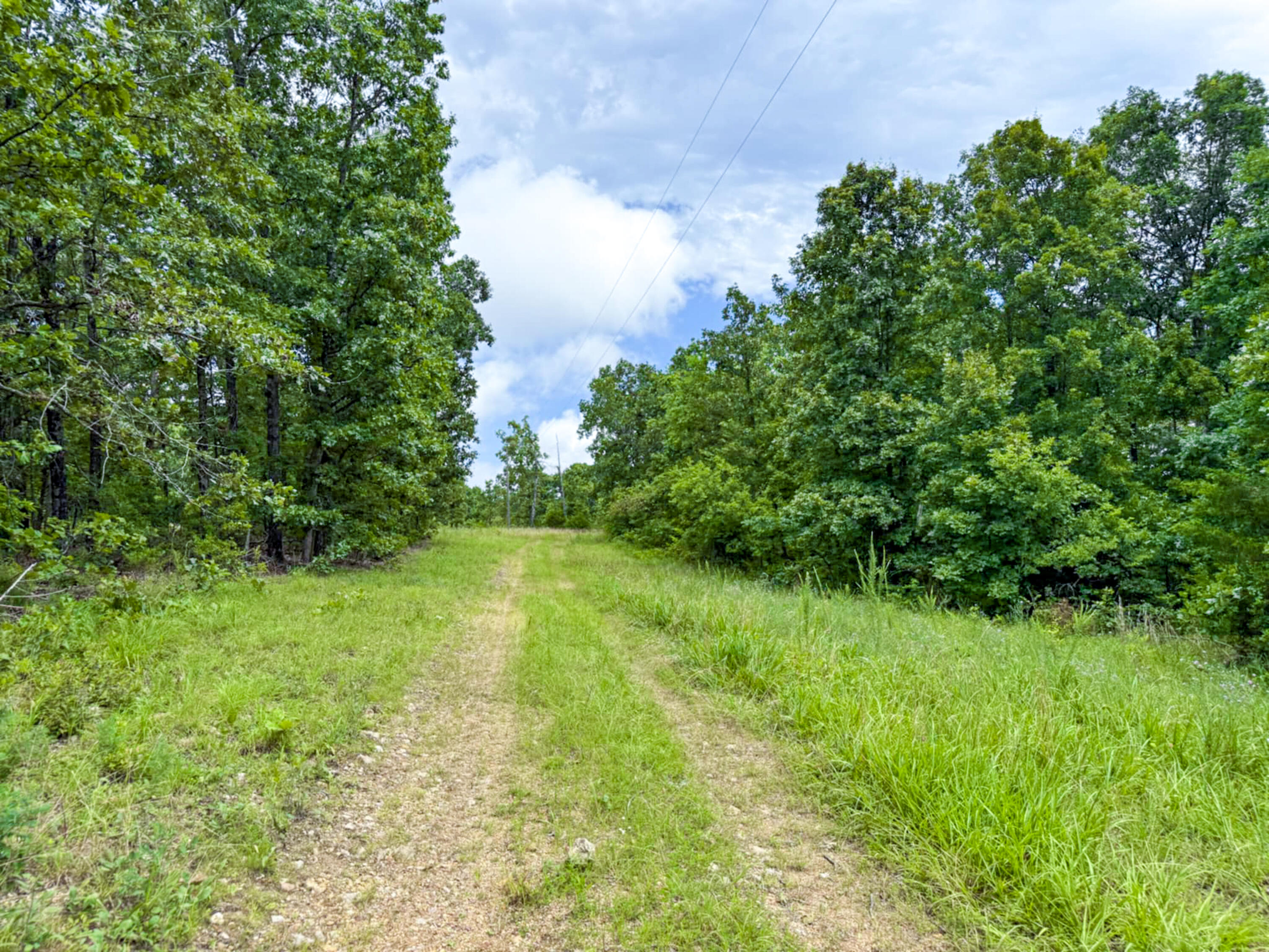 5748 County Road 3850 Property Photo 34