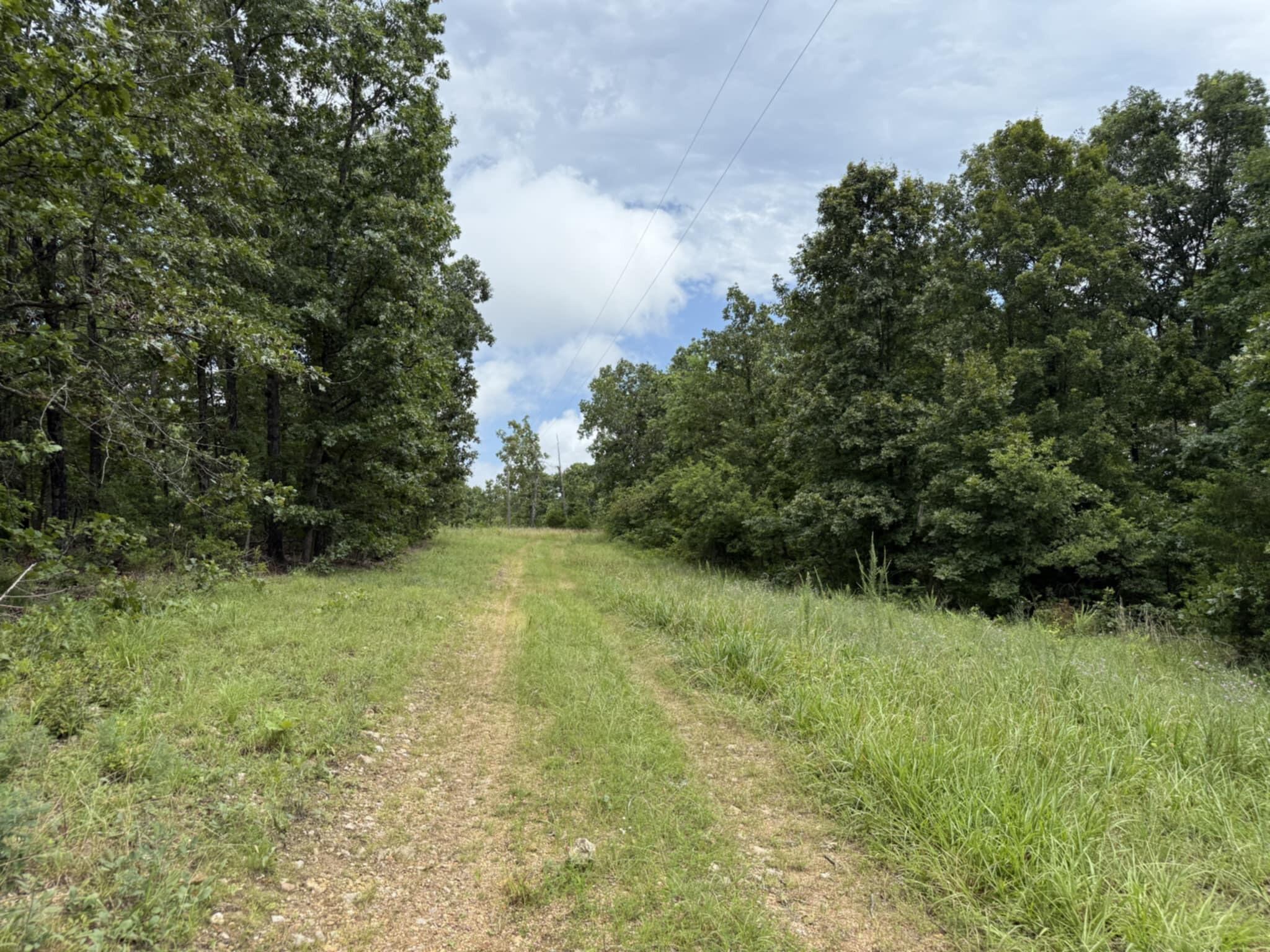 5748 County Road 3850 Property Photo 41