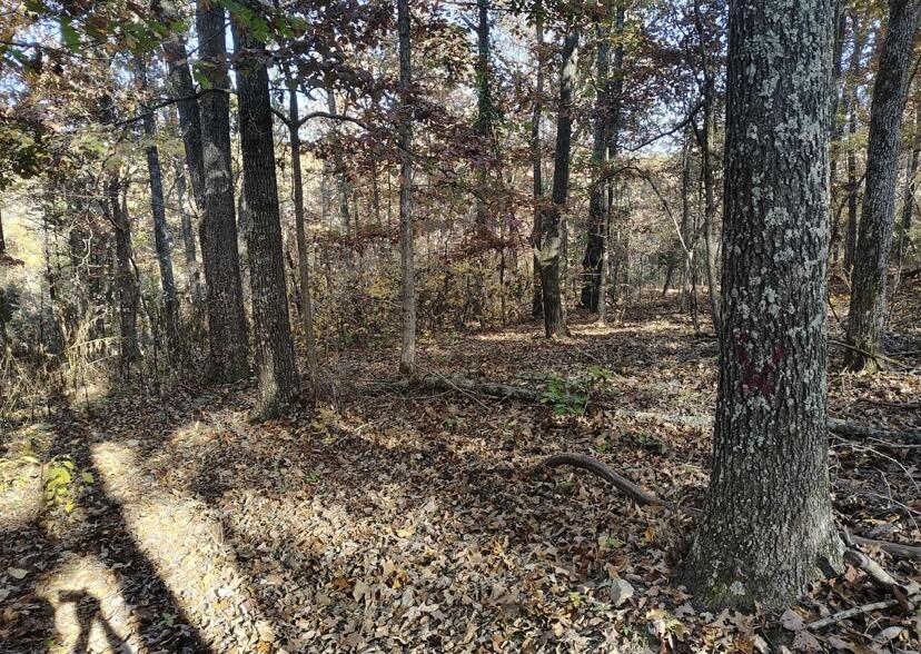 000 000 State Route Yy Property Photo 1