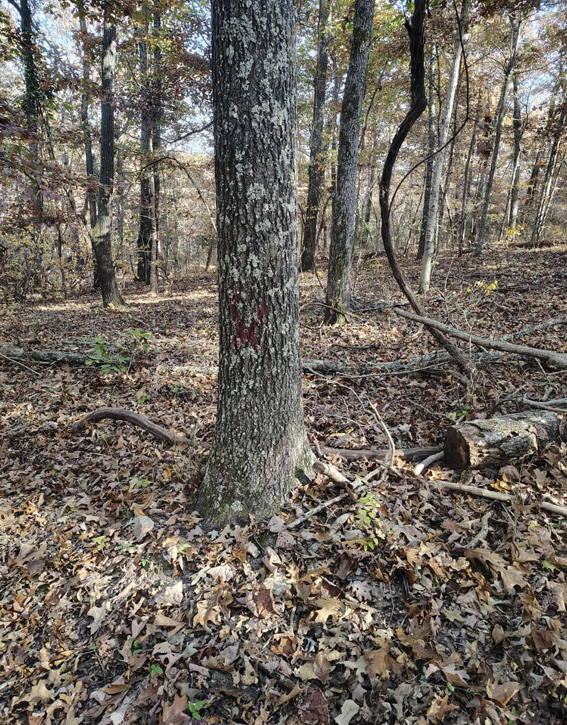 000 000 State Route Yy Property Photo 2
