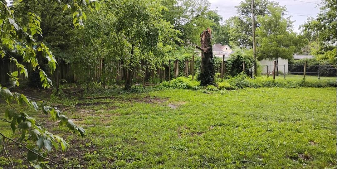 1885 North Lyon Avenue Property Photo 23
