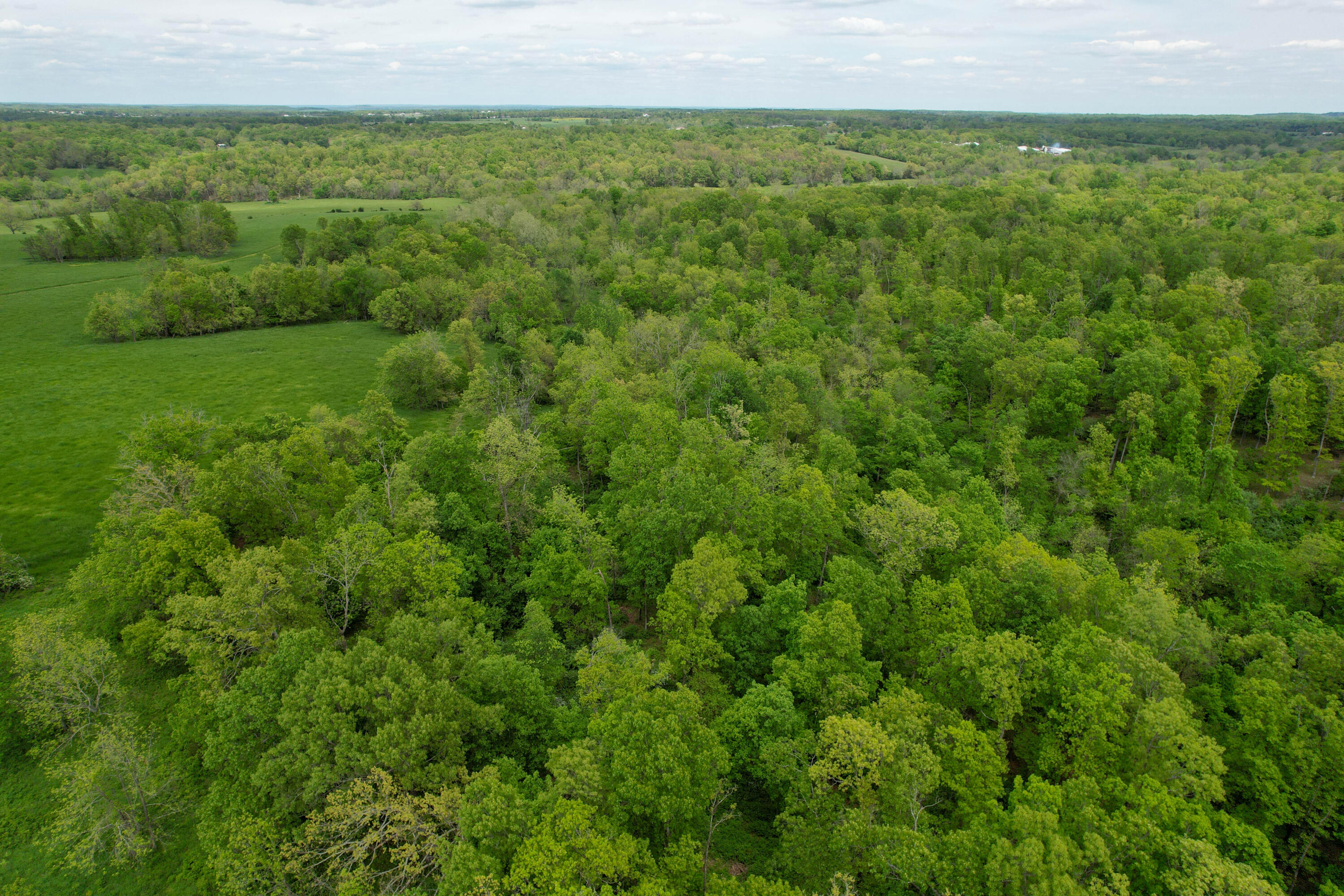 000 State Highway K Property Photo 3