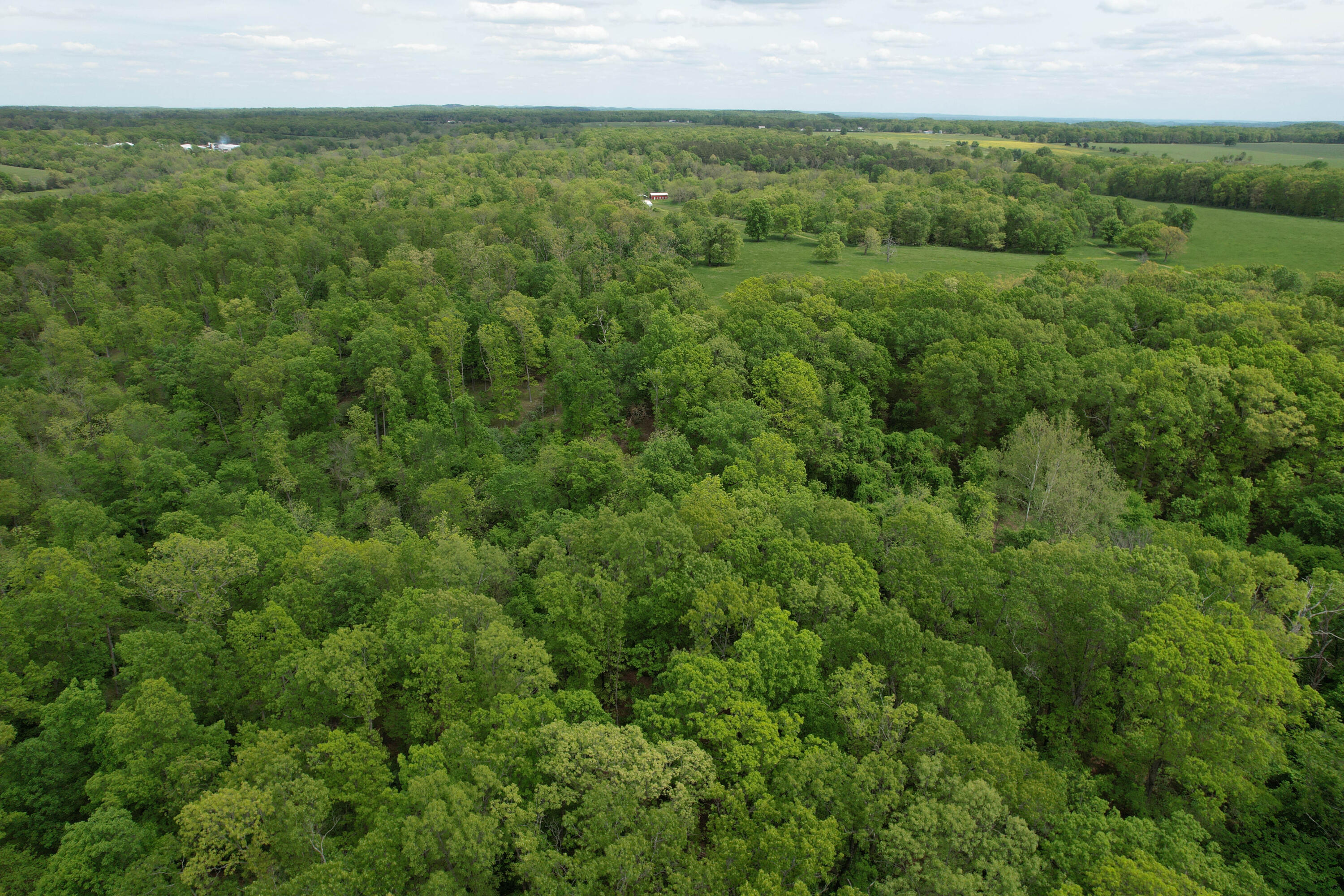 000 State Highway K Property Photo 4