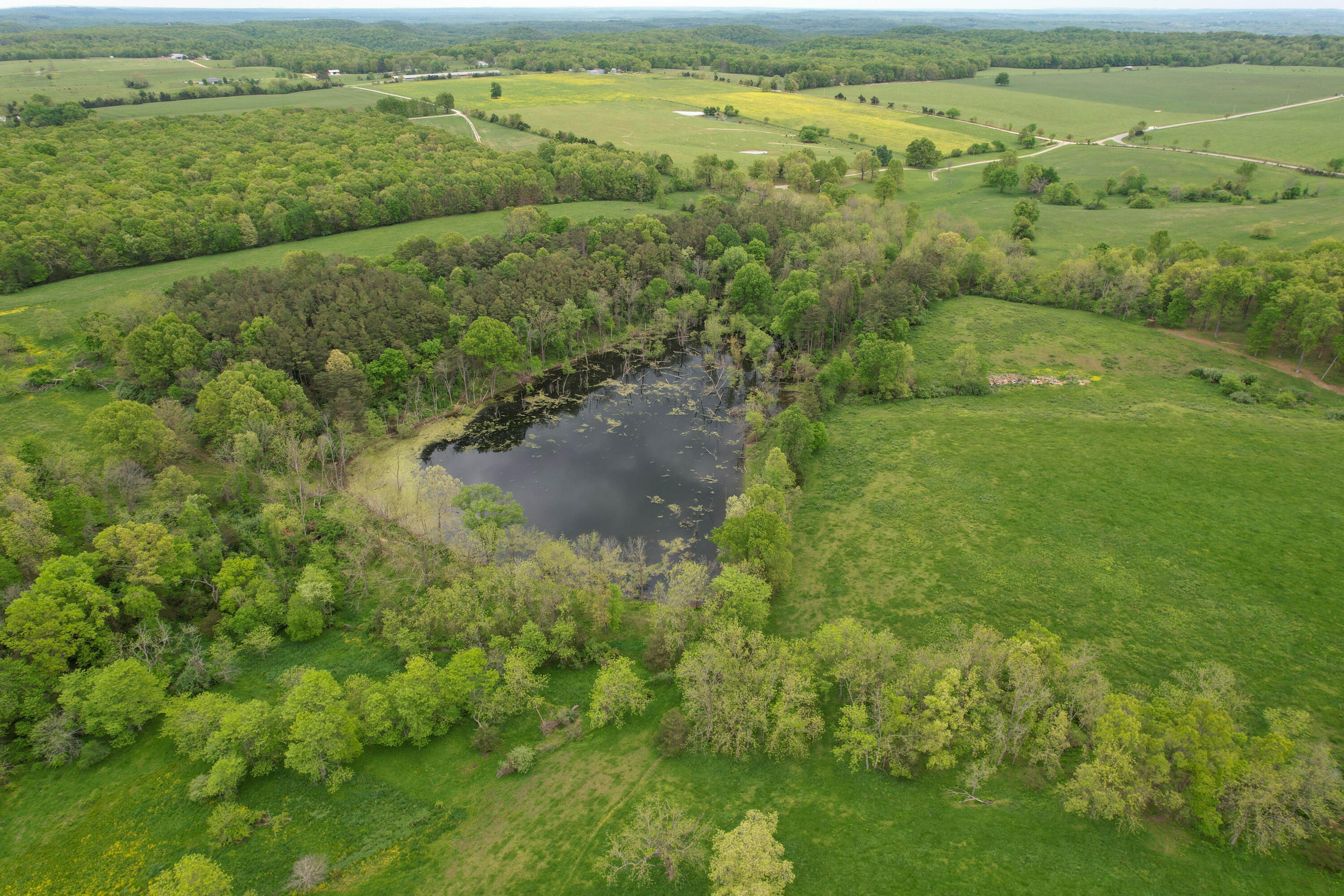 000 State Highway K Property Photo 41
