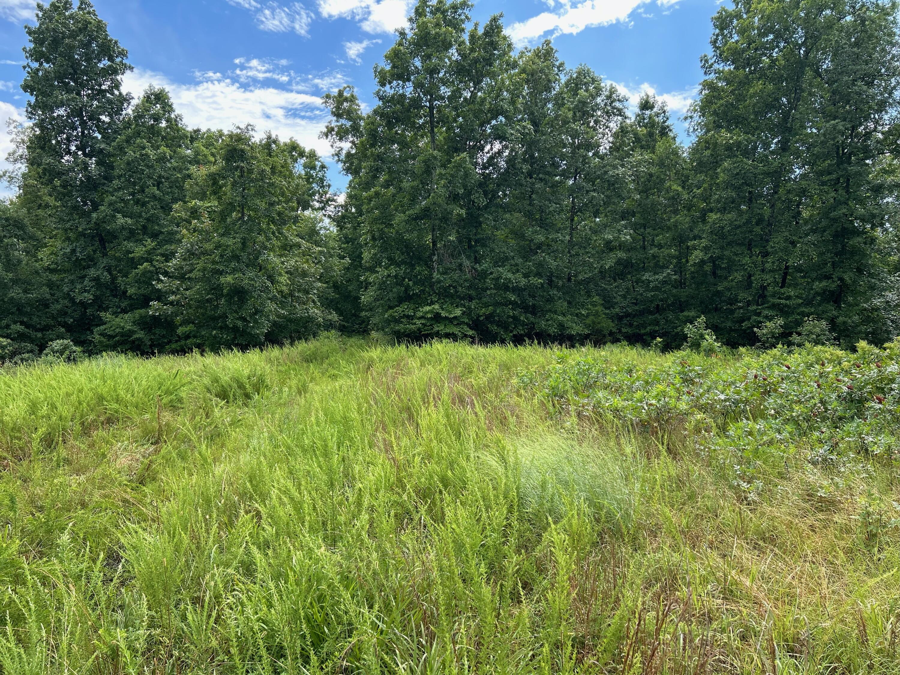 0 County Road 444