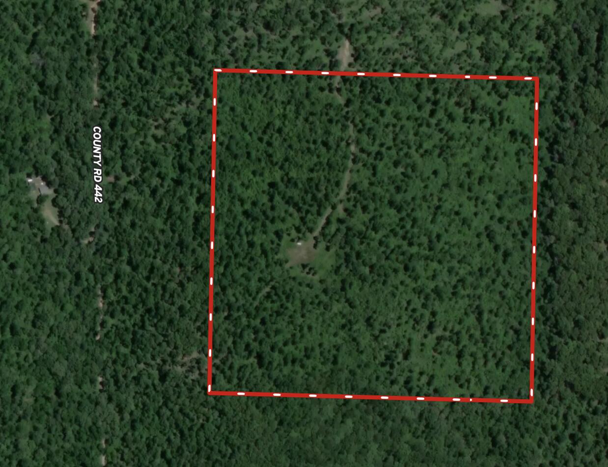 0 County Road 444 Property Photo 2