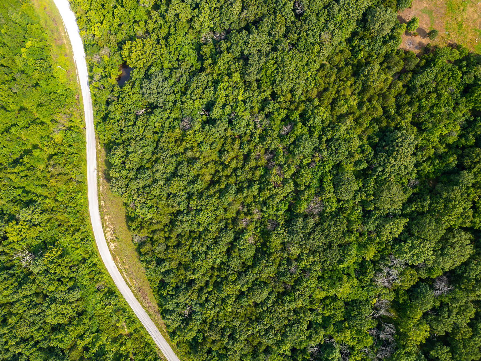 000 South 156th Rd Property Photo 10