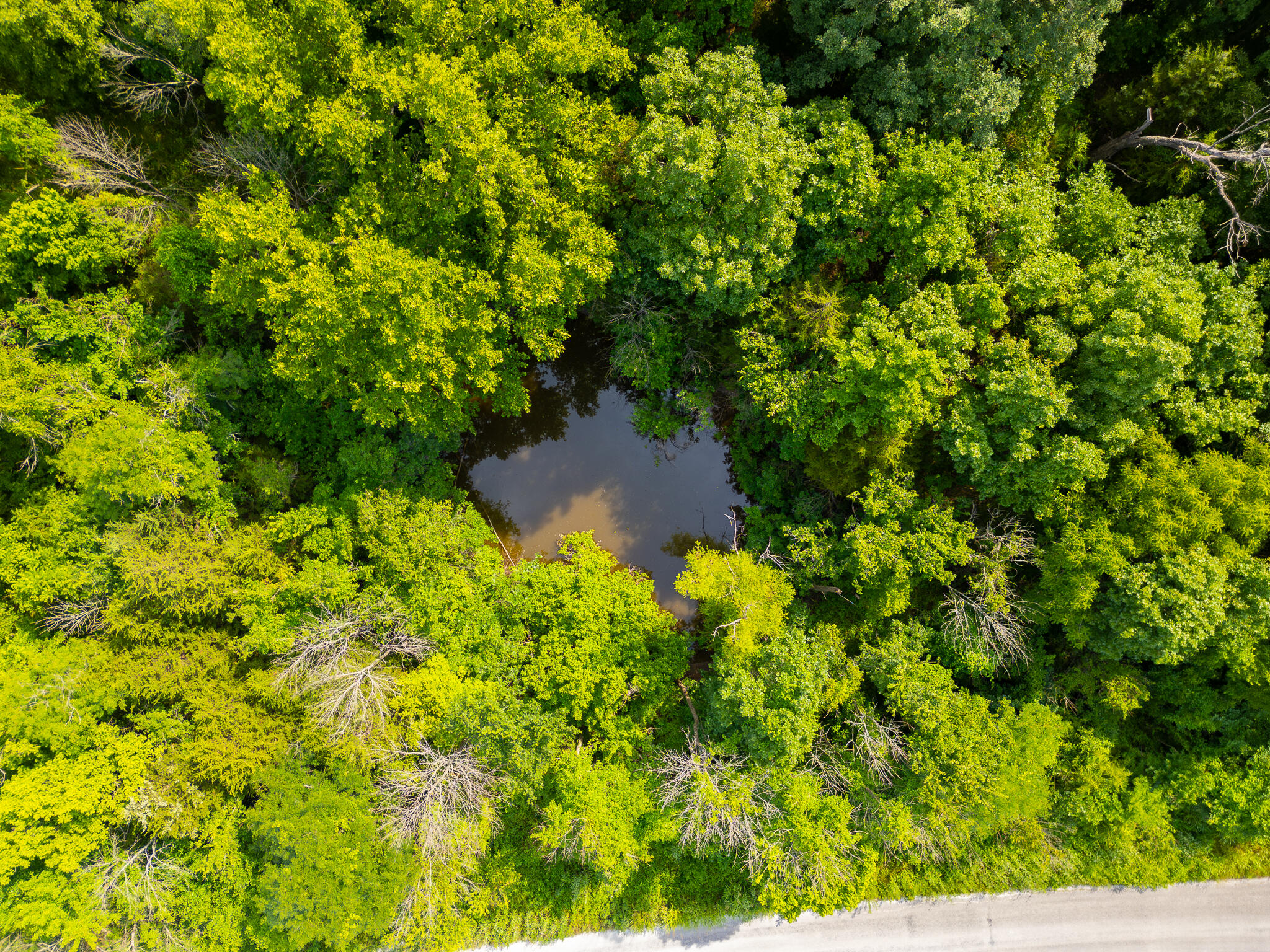 000 South 156th Rd Property Photo 13