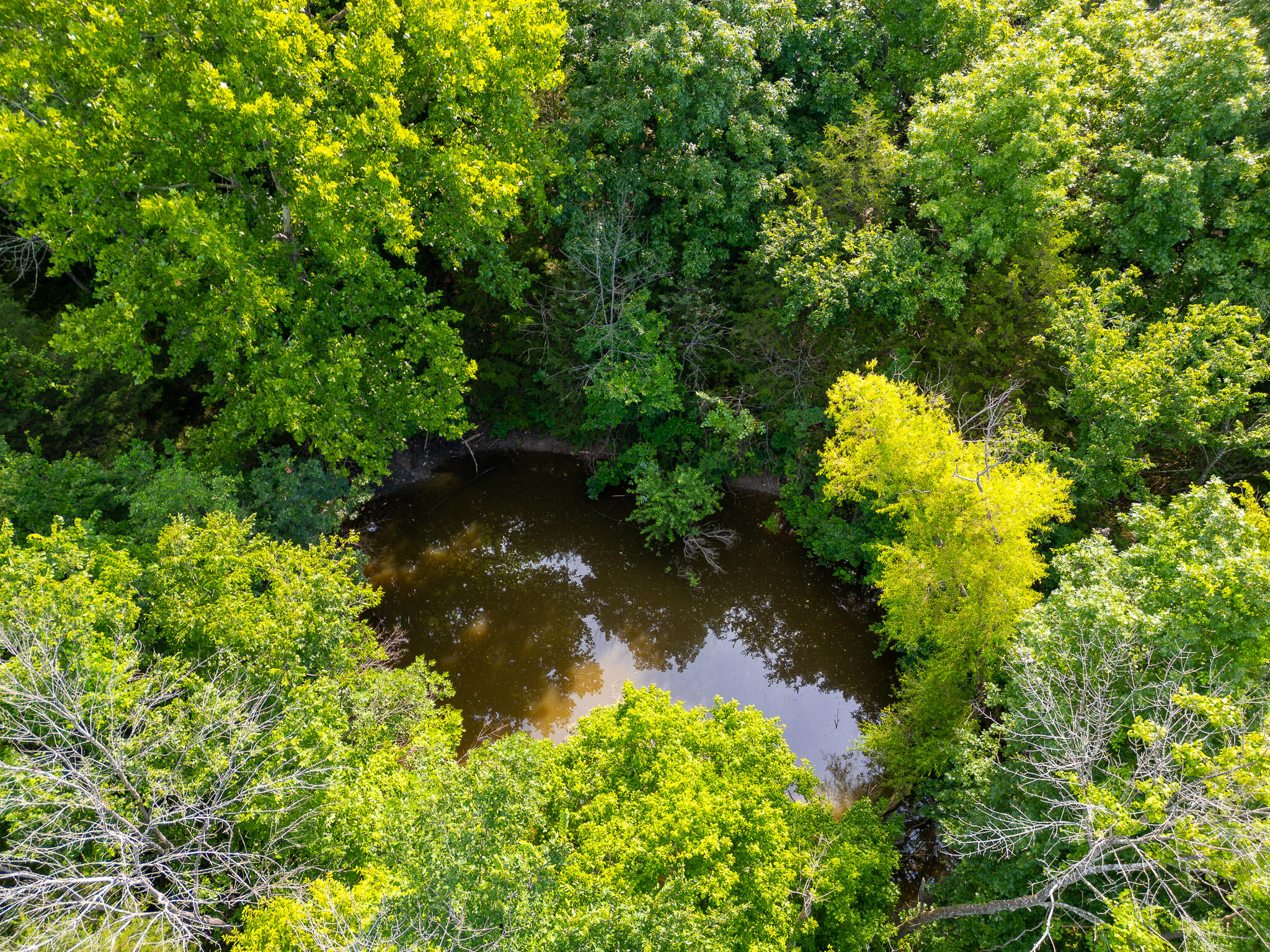 000 South 156th Rd Property Photo 14