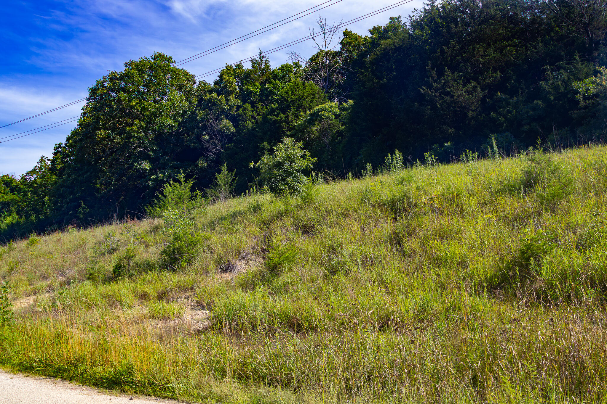 000 South 156th Rd Property Photo 29