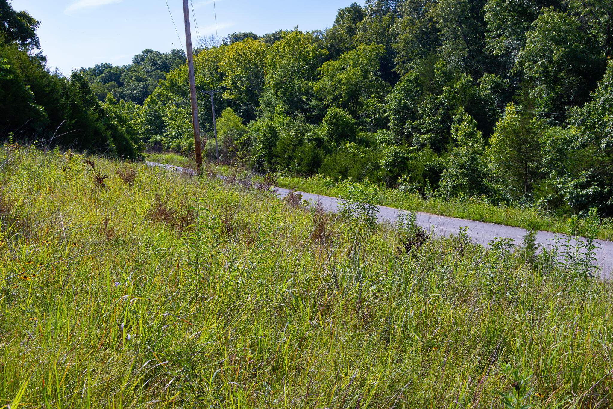 000 South 156th Rd Property Photo 36