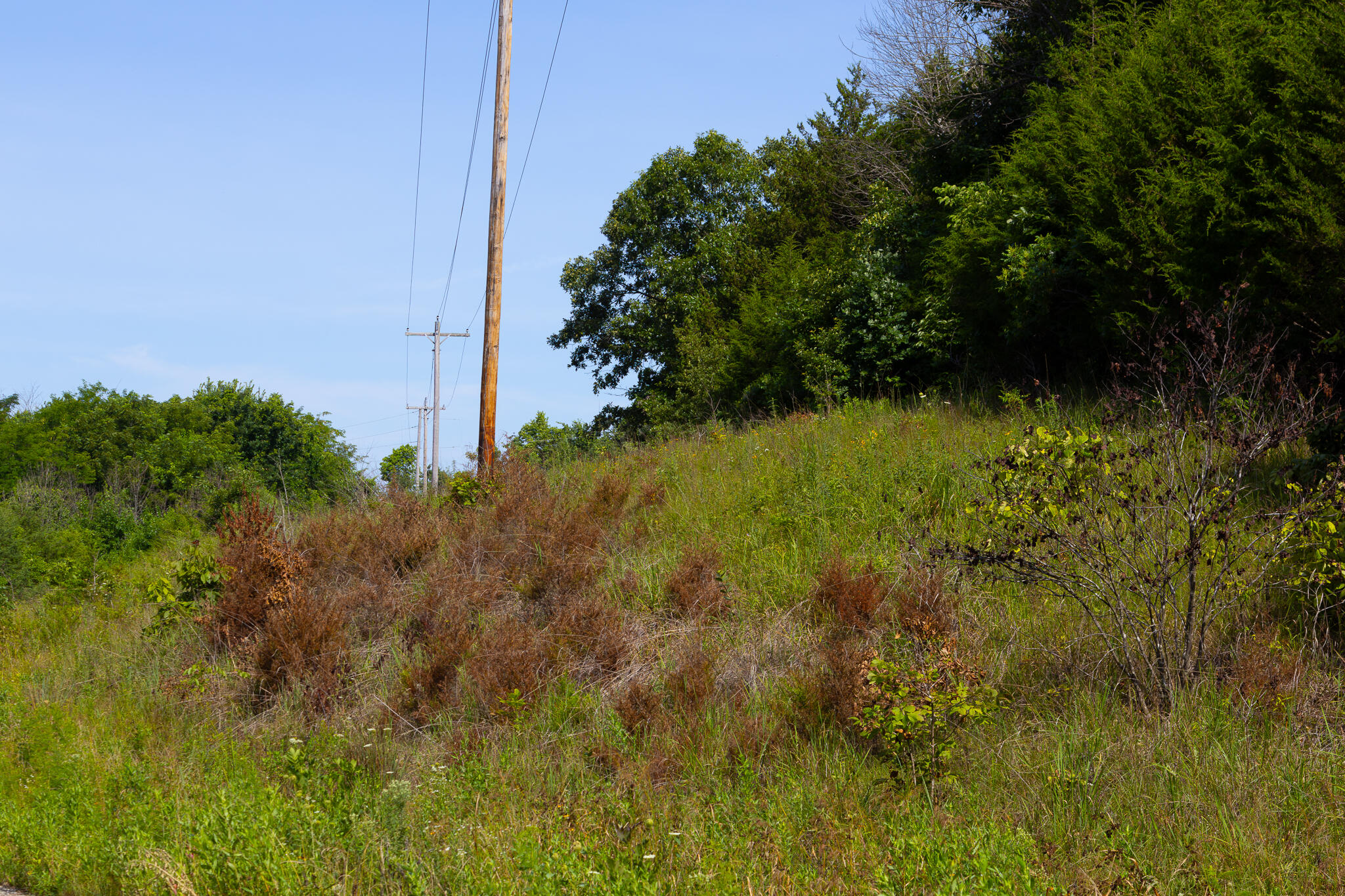 000 South 156th Rd Property Photo 37