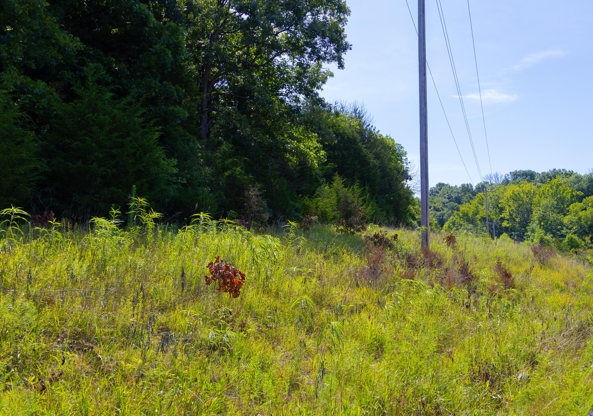 000 South 156th Rd Property Photo 38