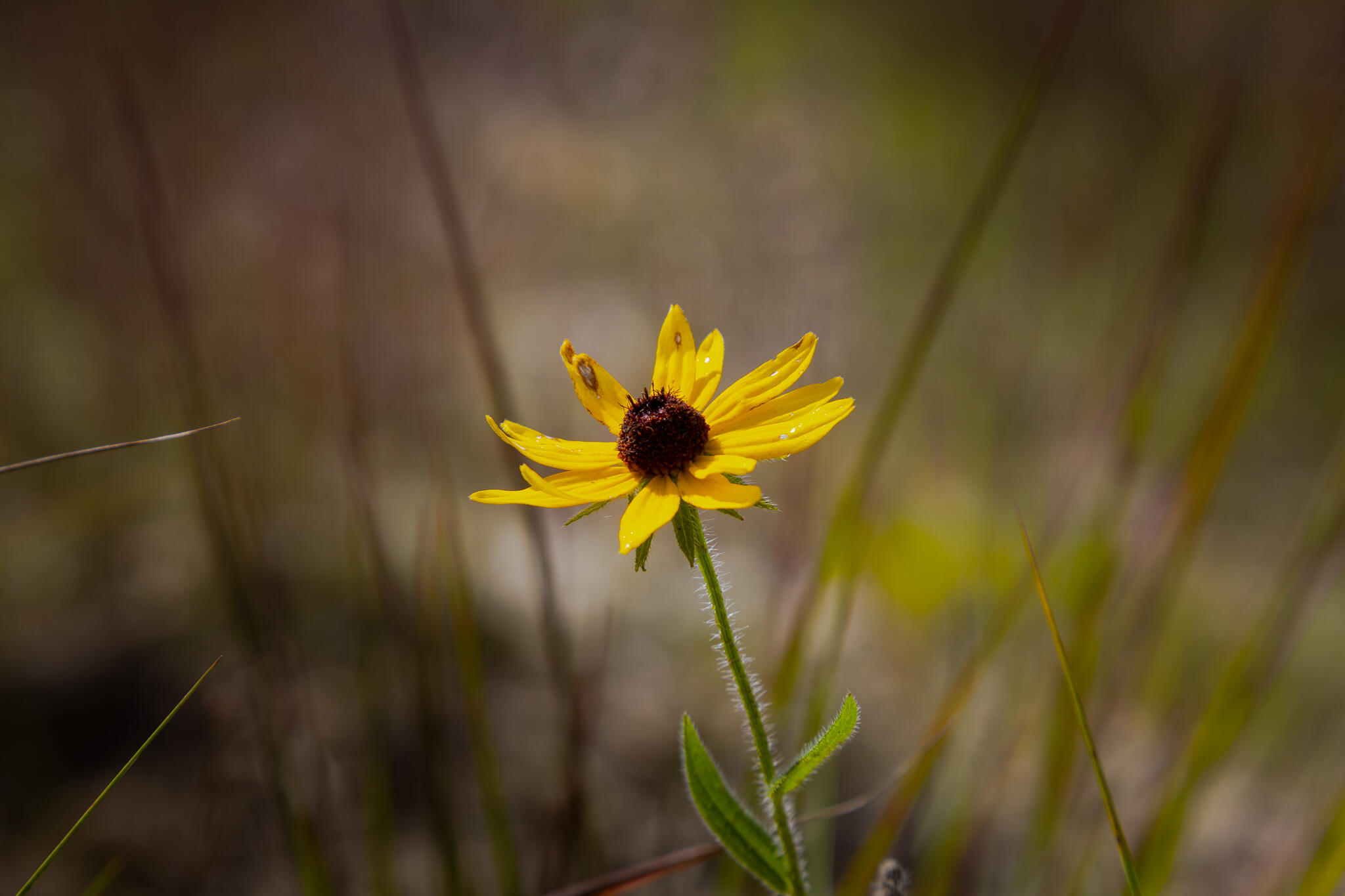 000 South 156th Rd Property Photo 41