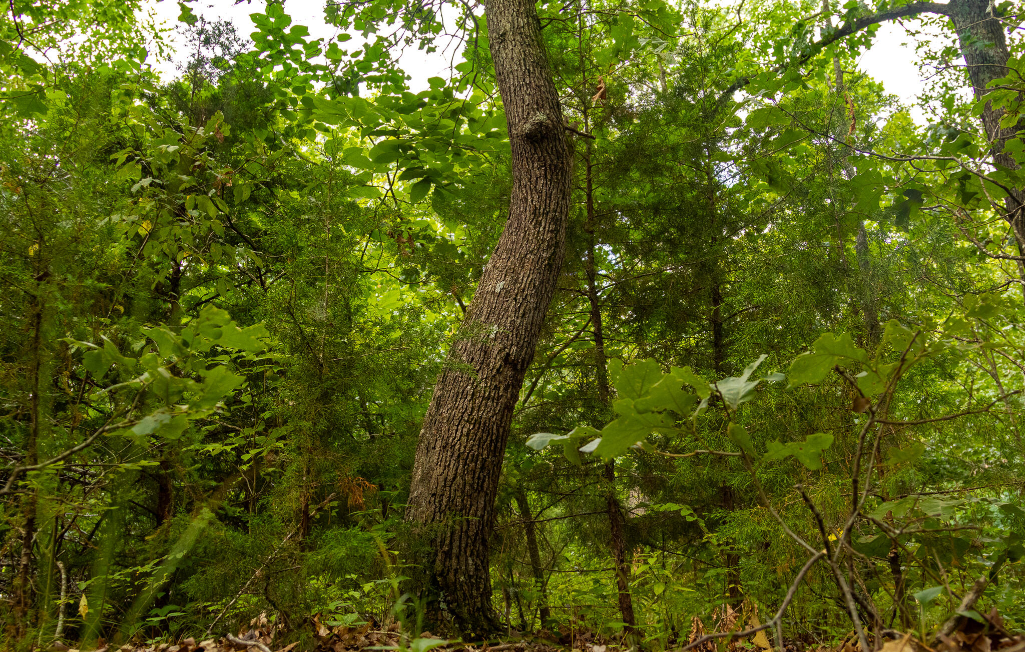 000 South 156th Rd Property Photo 42