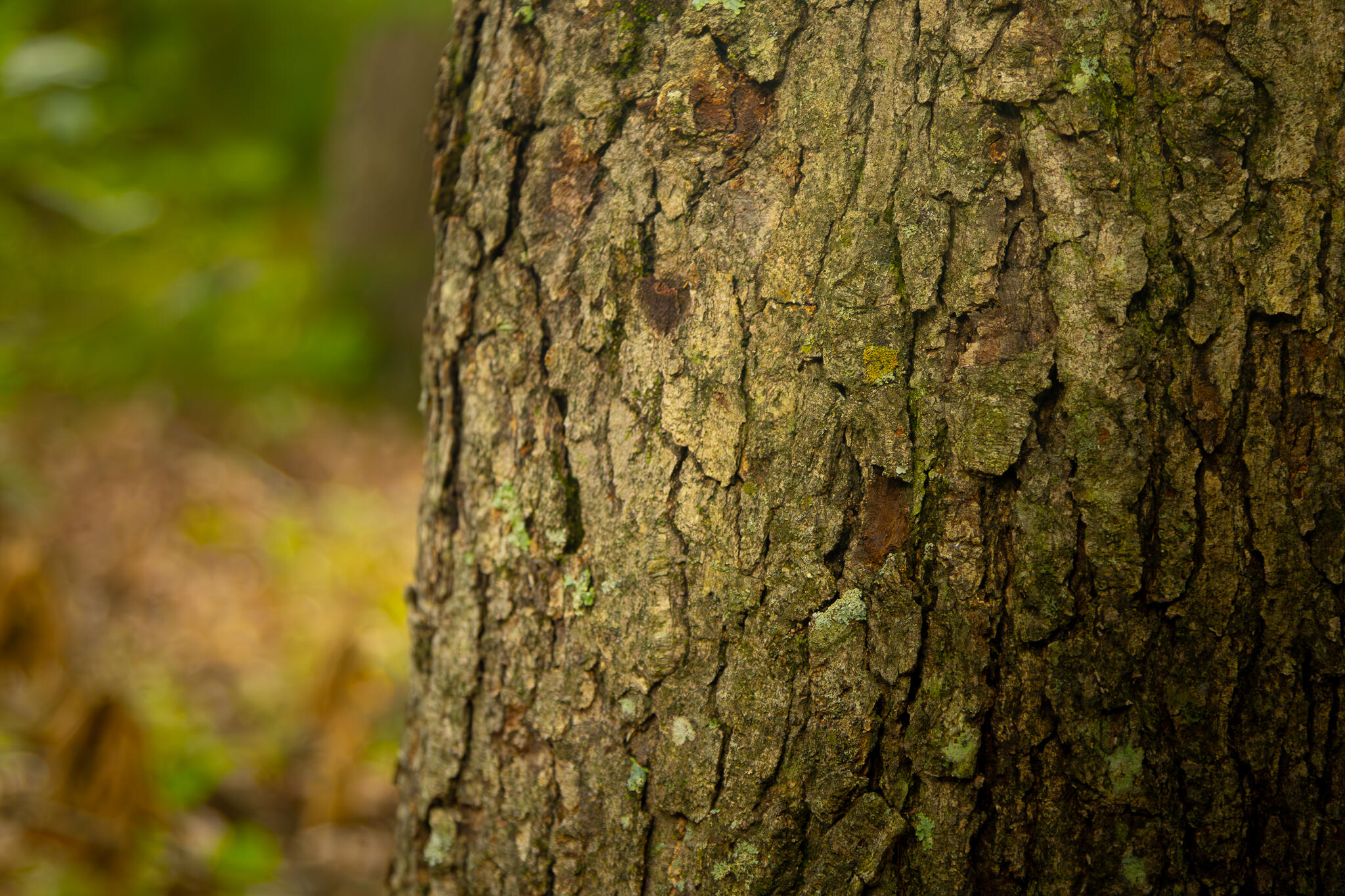 000 South 156th Rd Property Photo 44