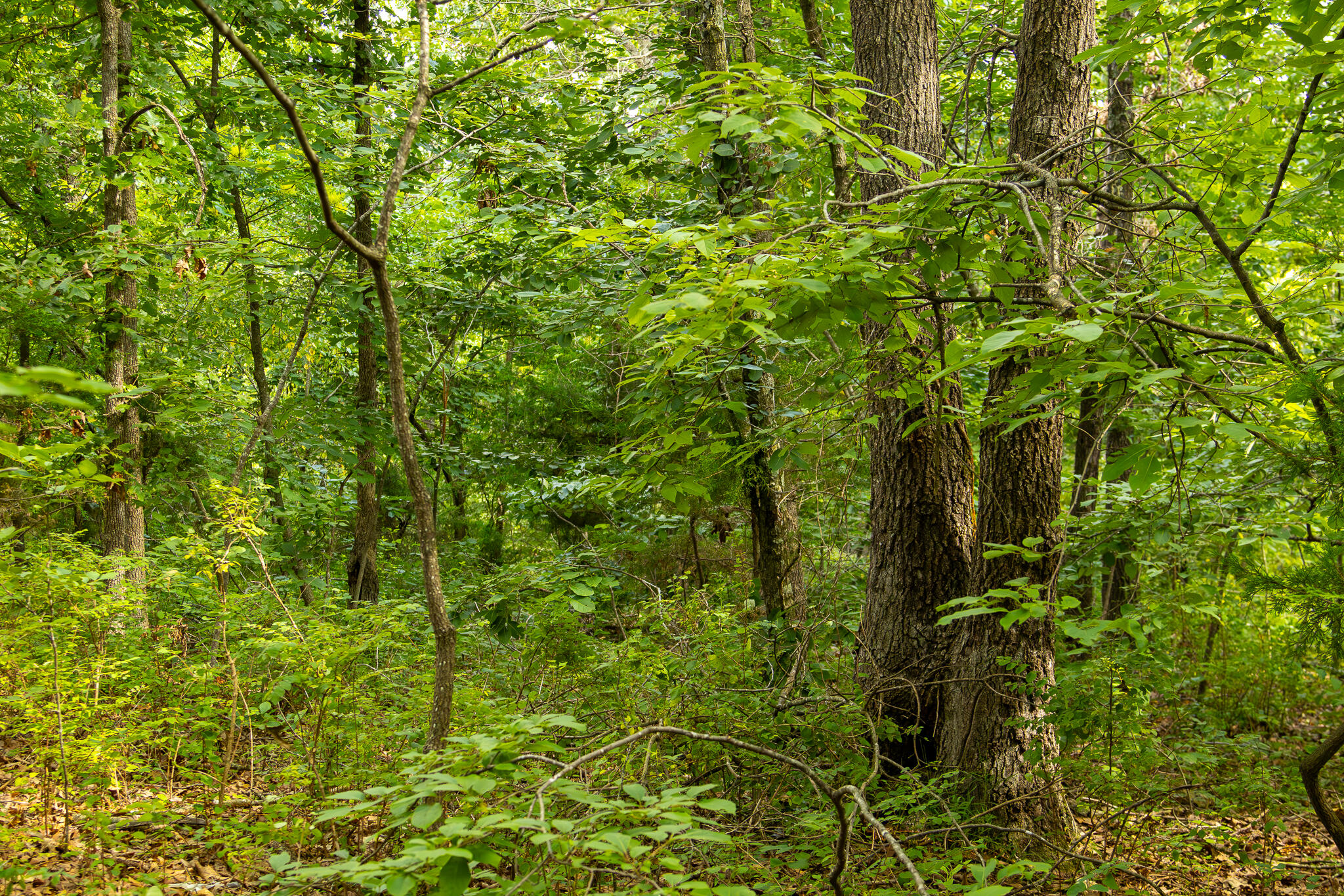 000 South 156th Rd Property Photo 46