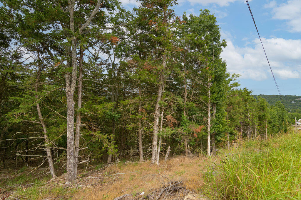 2028 Indian Point Road Property Photo 9