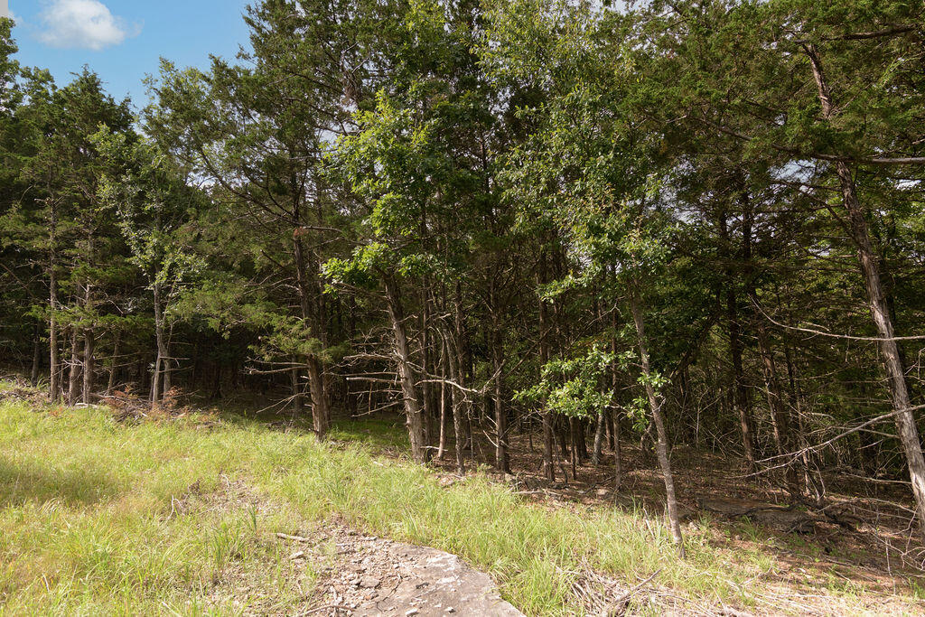 2028 Indian Point Road Property Photo 12