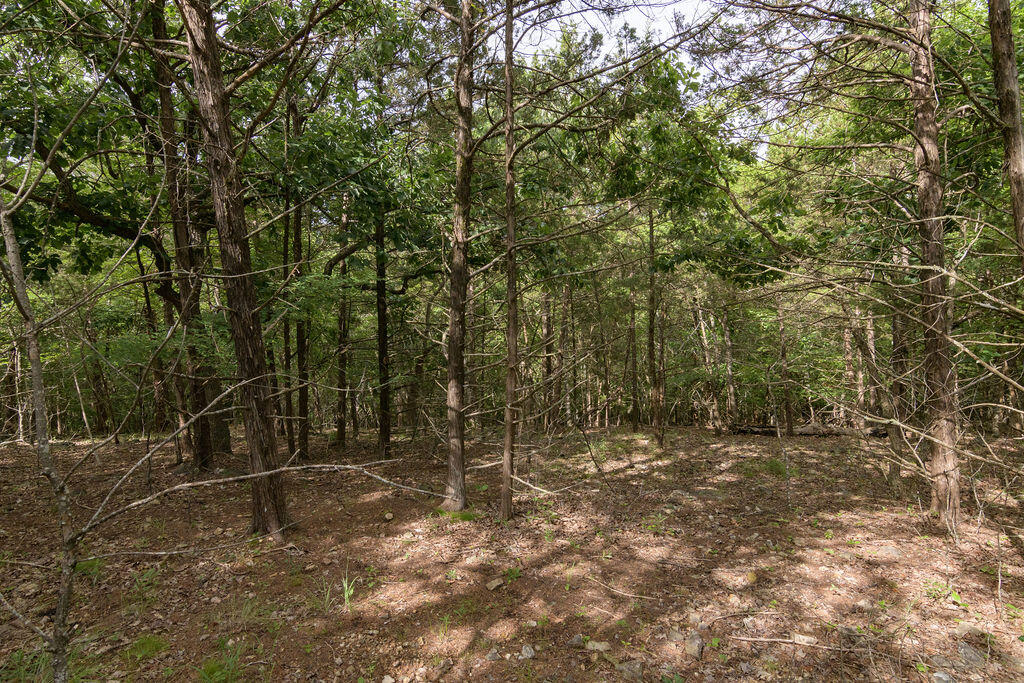 2028 Indian Point Road Property Photo 13