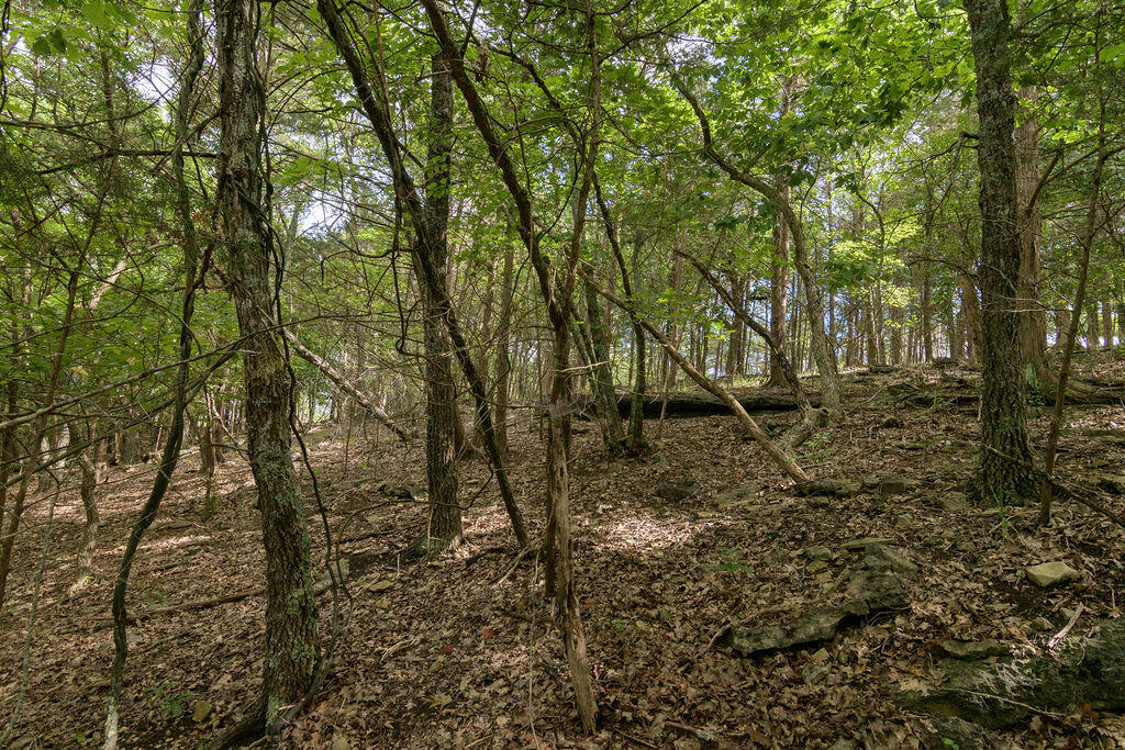 2028 Indian Point Road Property Photo 15