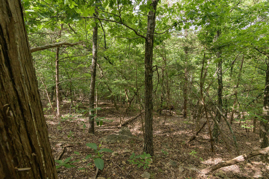 2028 Indian Point Road Property Photo 15
