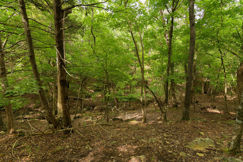 2028 Indian Point Road Property Photo 17